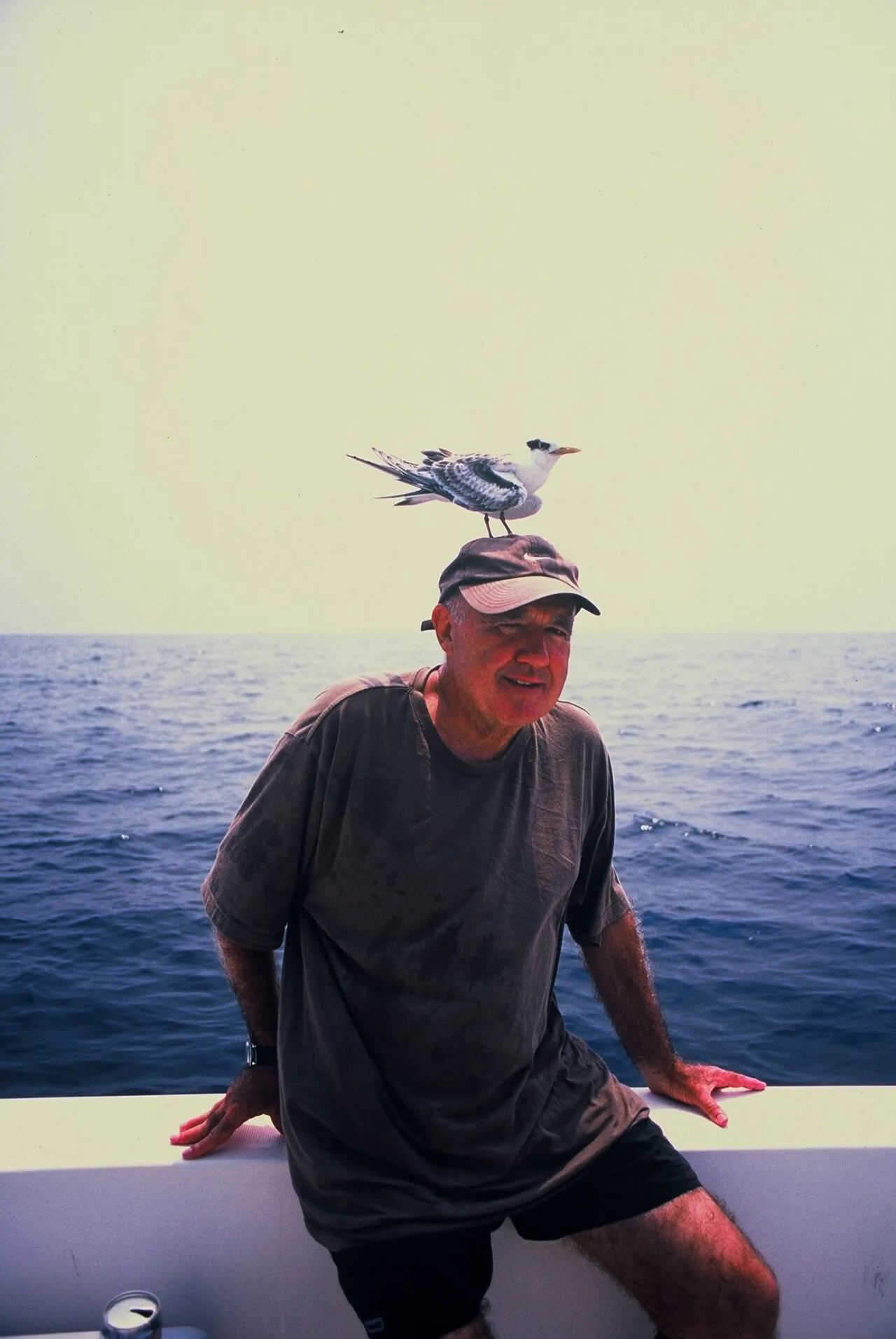 Porträt von Claude Rives (1947–2023) – Gedenkseite