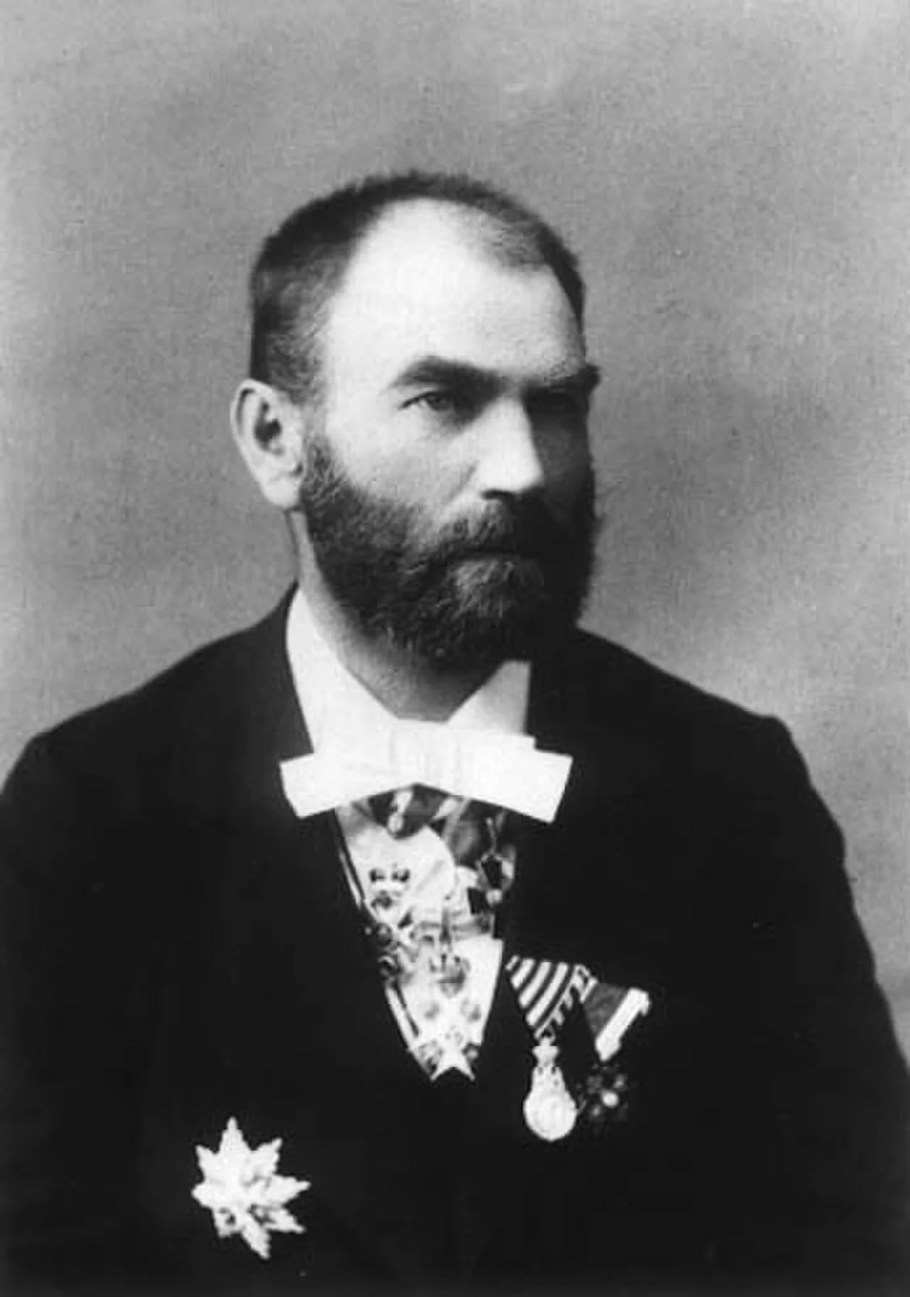 Portrait of Milan Milićević (1831–1908) – memorial page