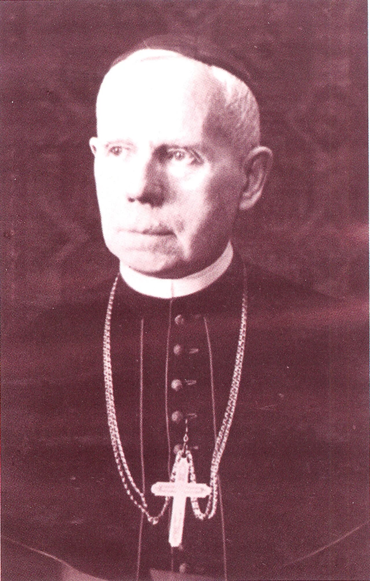 Portrait of Ferenc Rogács (1880–1961) – memorial page