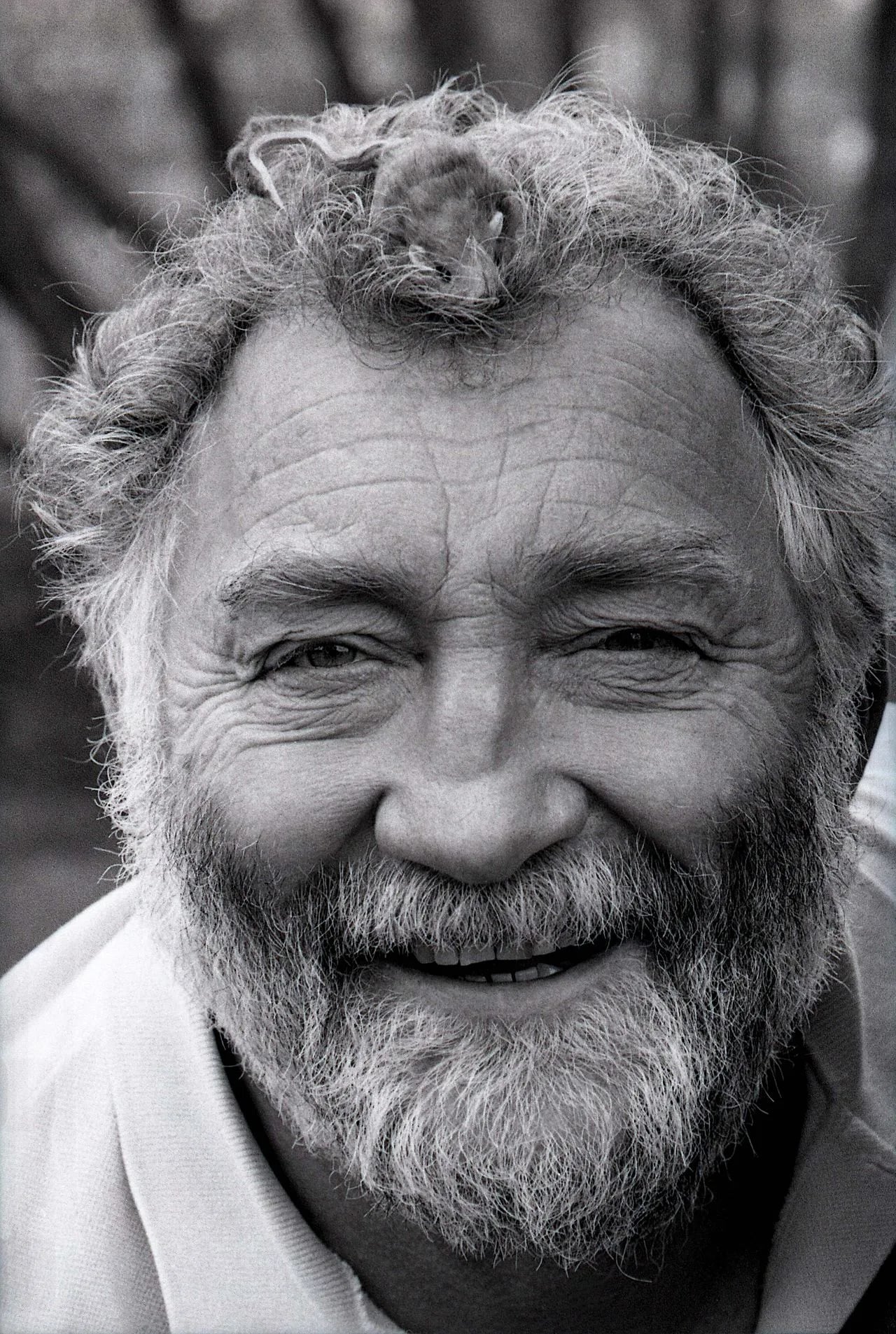 Portrait of David Bellamy (1933–2019) – memorial page