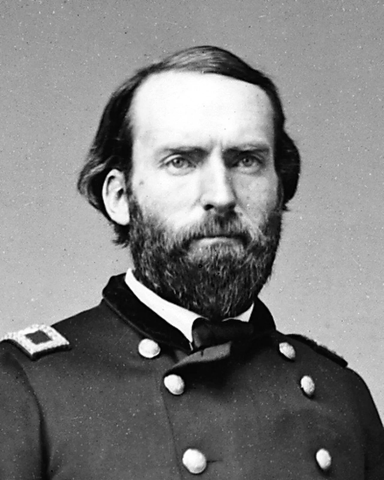 Portrait of David S. Stanley (1828–1902) – memorial page