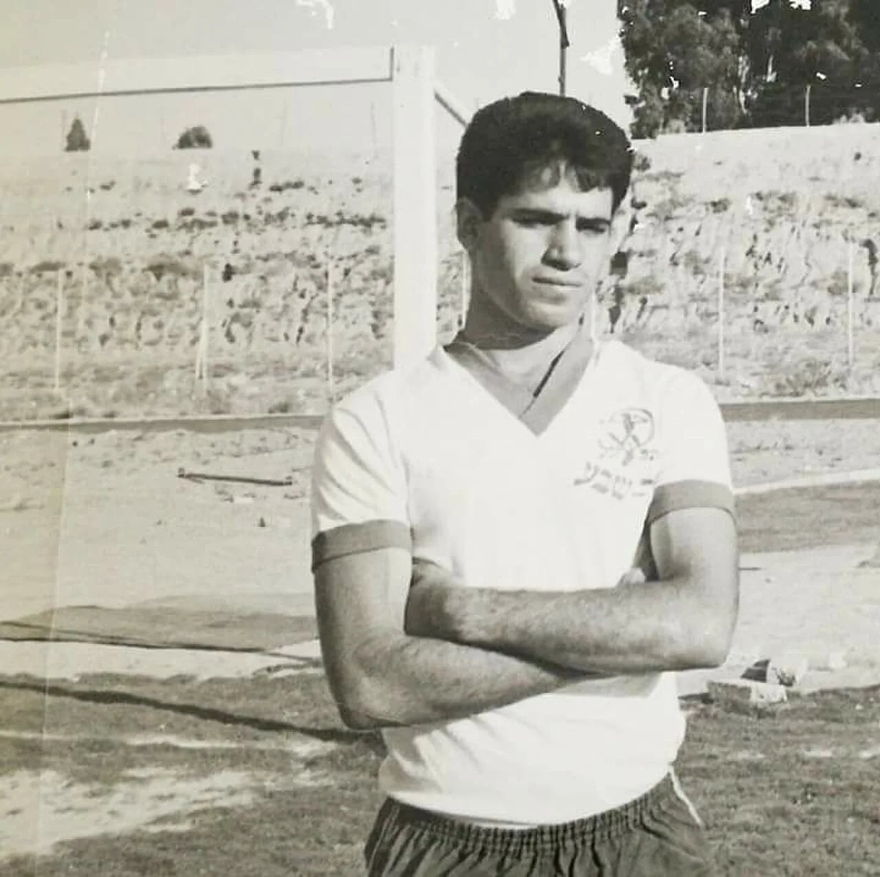 Portrait of Haim Cohen (1944–2017) – memorial page