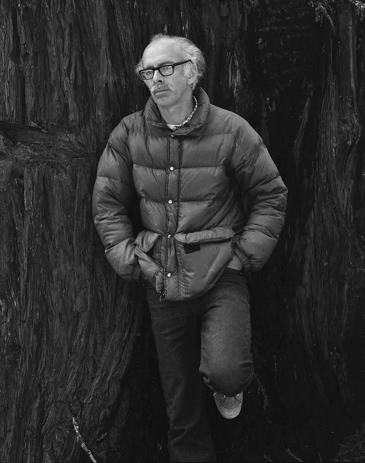 Portrait of Ray McSavaney (1938–2014) – memorial page