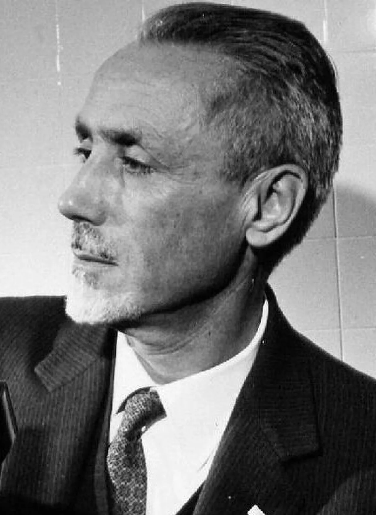 Portrait of Mario Pavan (1918–2003) – memorial page