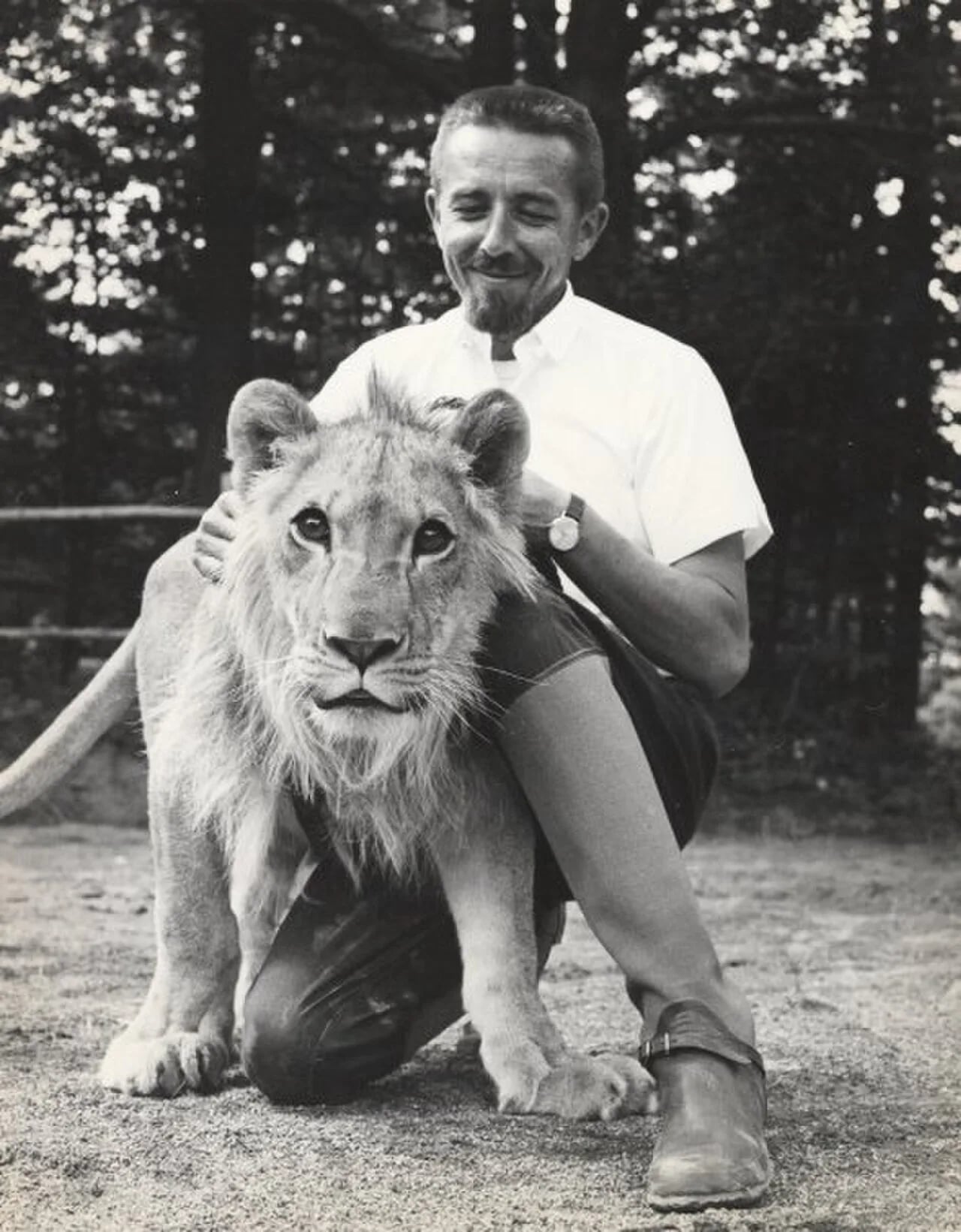 Porträt von Désiré Aerts (1924–1997) – Gedenkseite