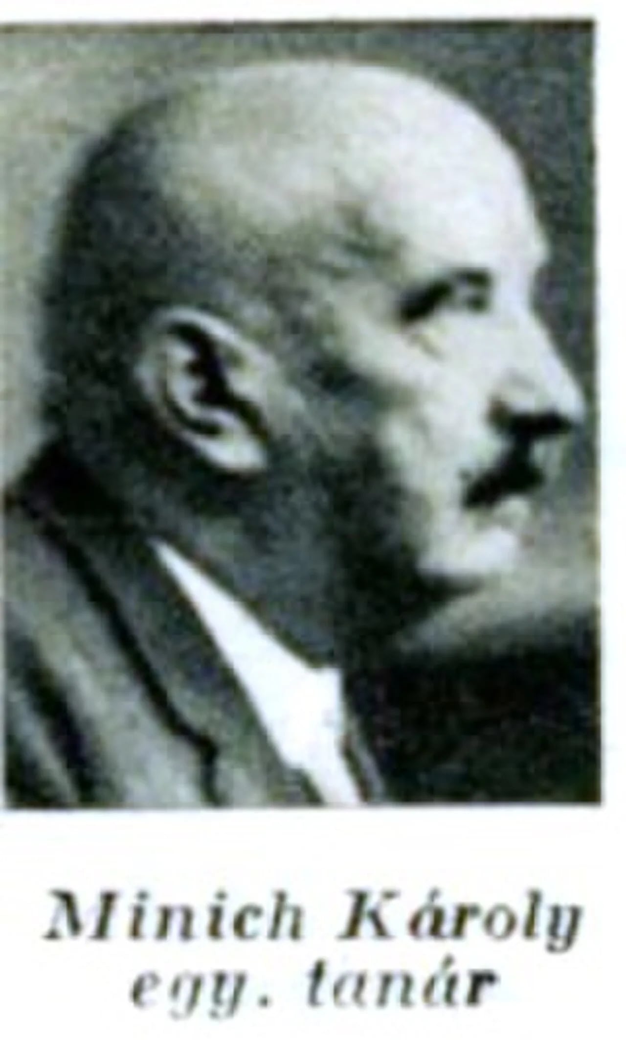 Portrait of Károly Minich (1869–1938) – memorial page