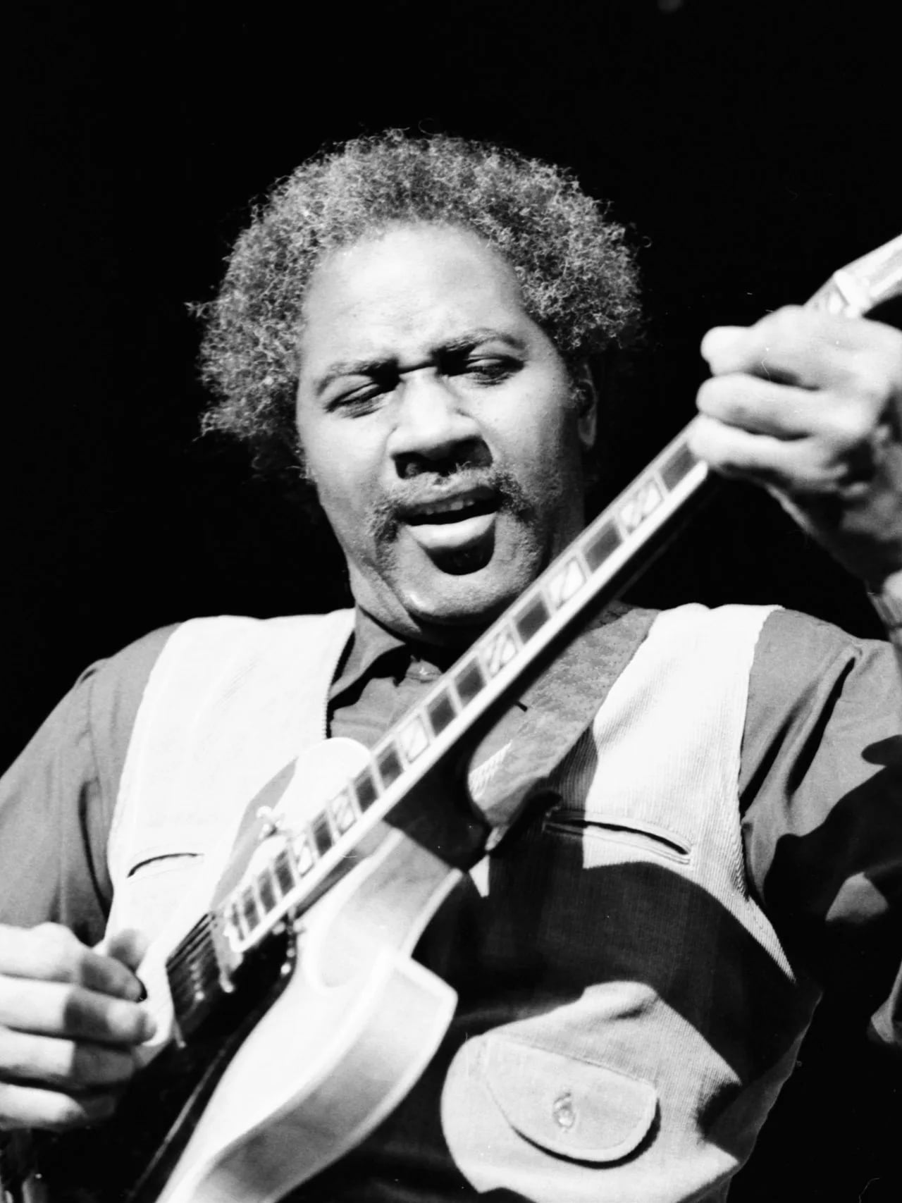 Portrait of Fenton Robinson (1935–1997) – memorial page
