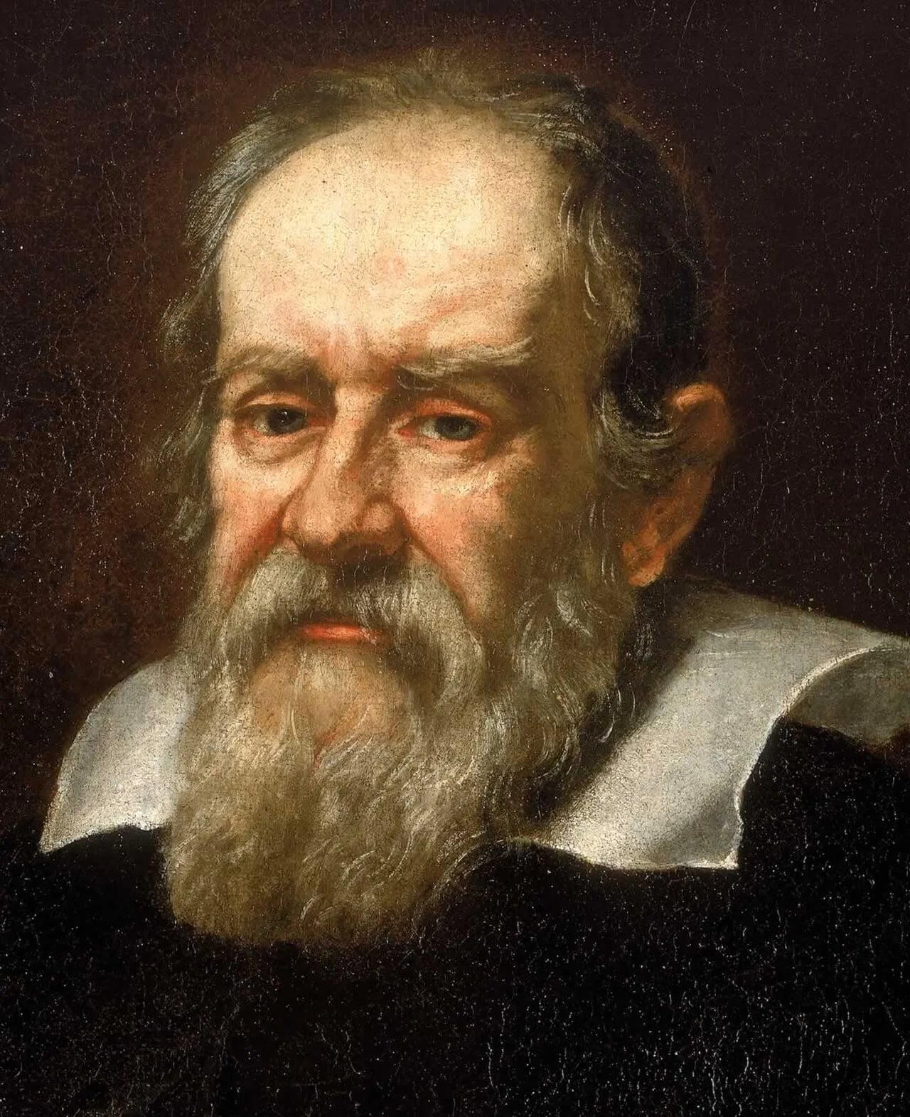 Portrait of Galileo Galilei (1564–1642) – memorial page