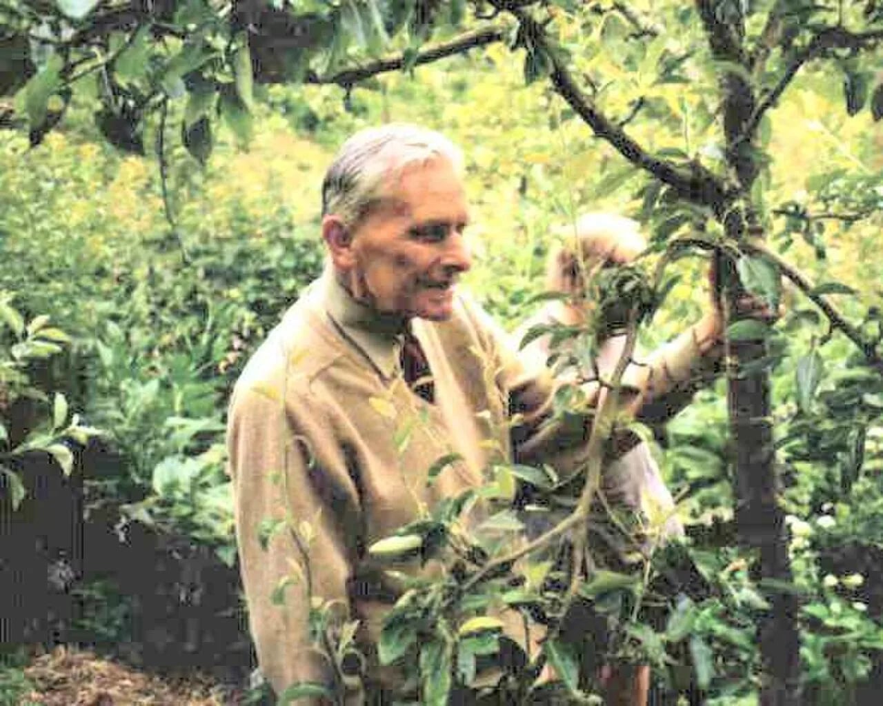 Portrait of Robert Hart (1913–2000) – memorial page
