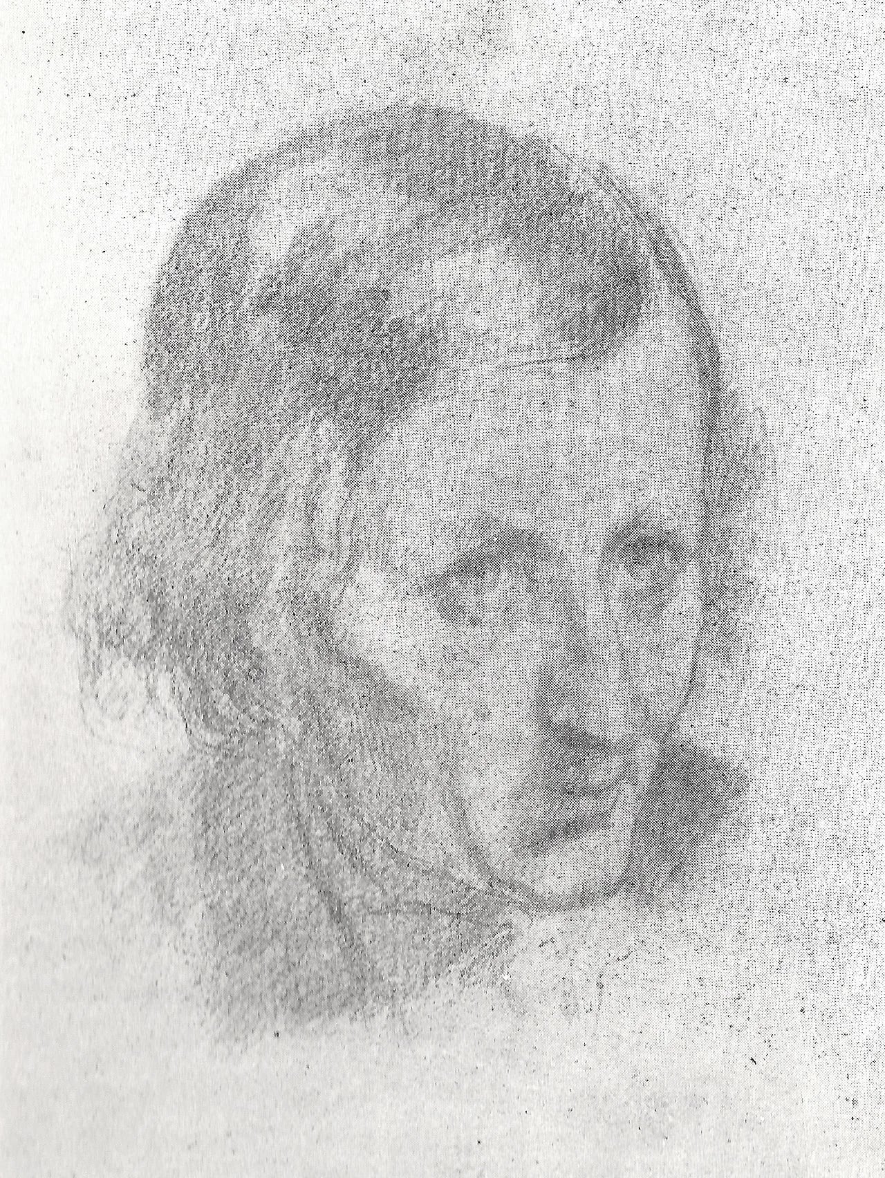Portrait of François Désiré Roulin (1796–1874) – memorial page