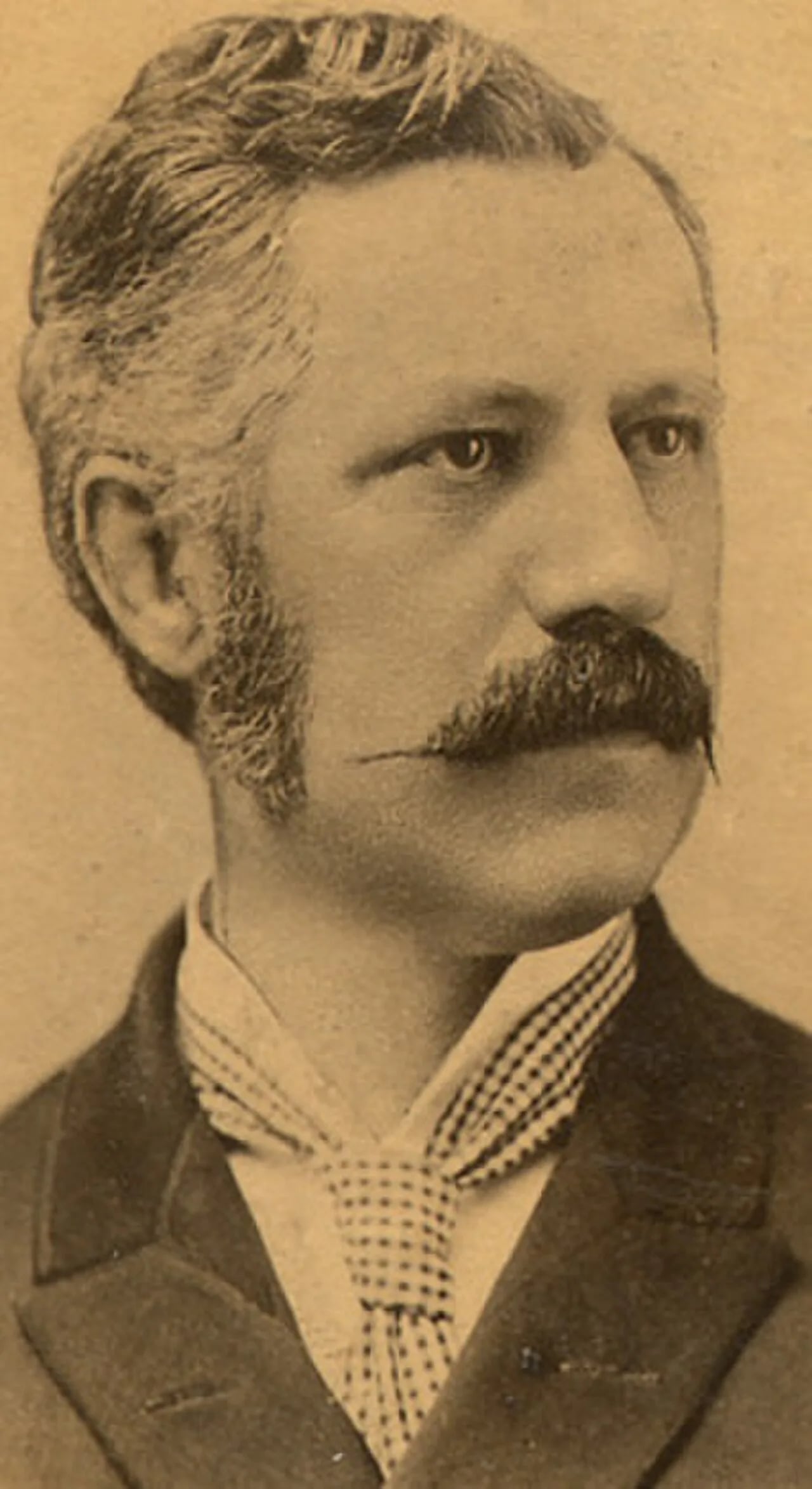 Porträt von François-Sévère Lesieur Desaulniers (1850–1913) – Gedenkseite