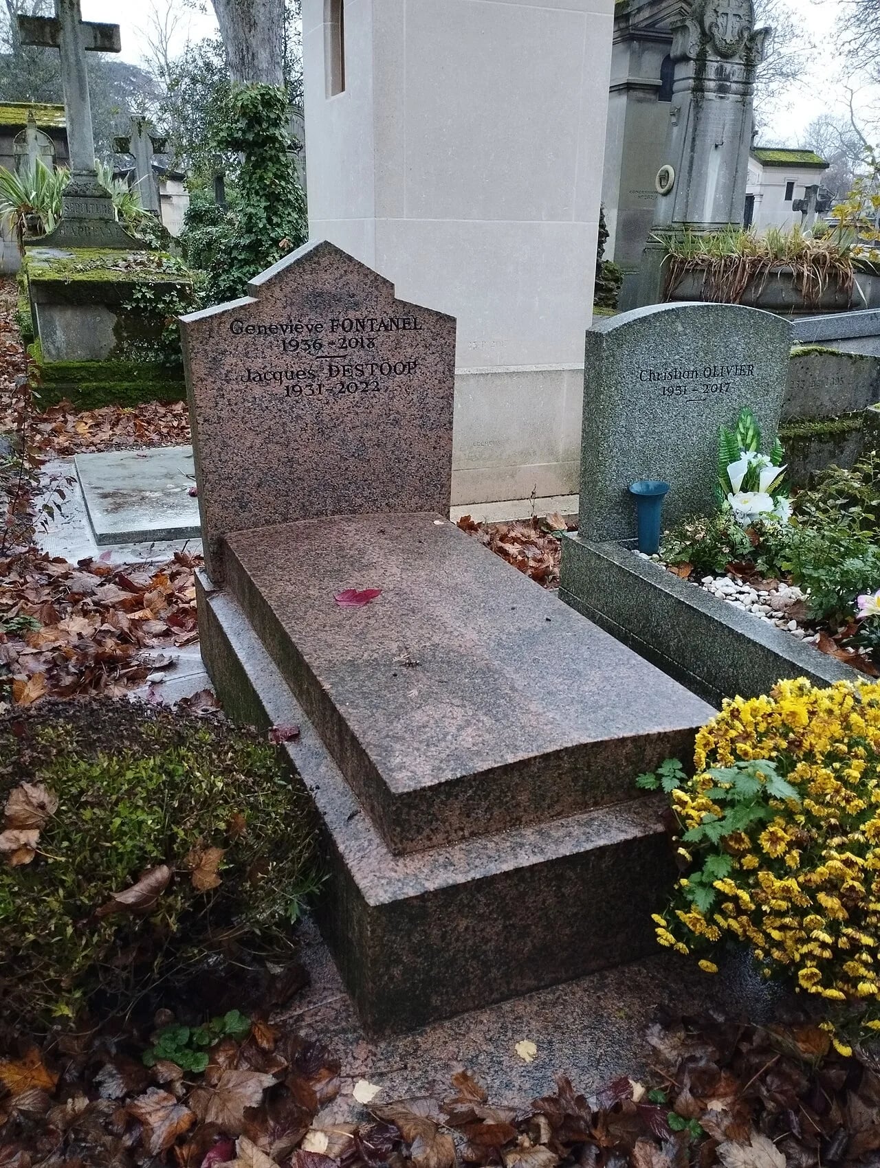 Porträt von Geneviève Fontanel (1936–2018) – Gedenkseite
