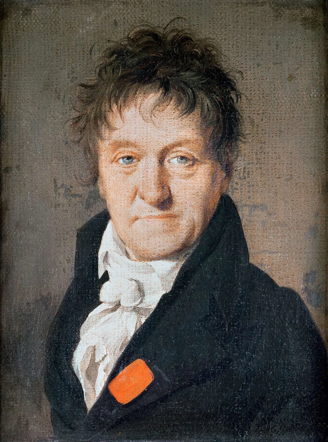 Portrait of Lazare Nicolas Marguerite Carnot (1753–1823) – memorial page