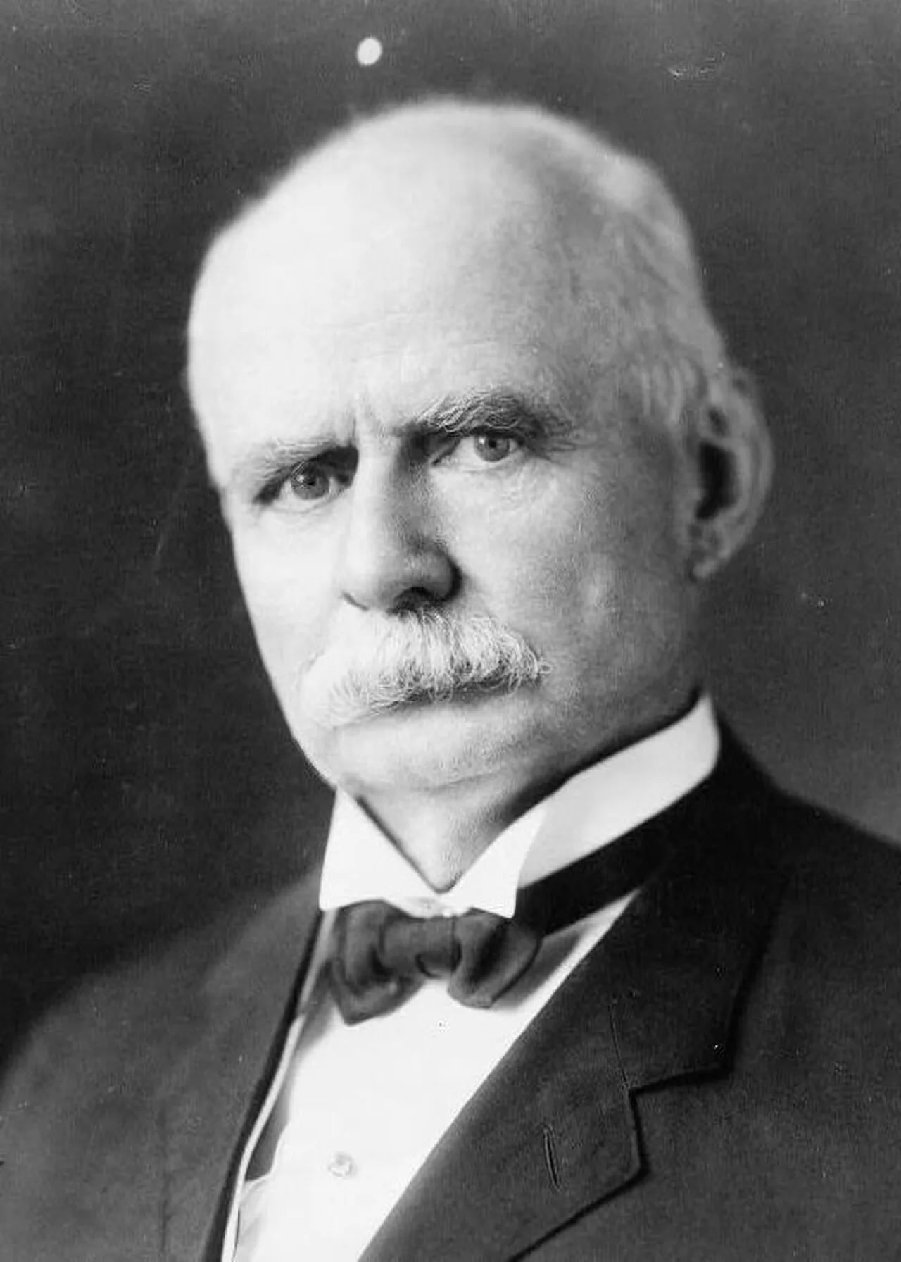 Portrait of Adlai Ewing Stevenson (1835–1914) – memorial page