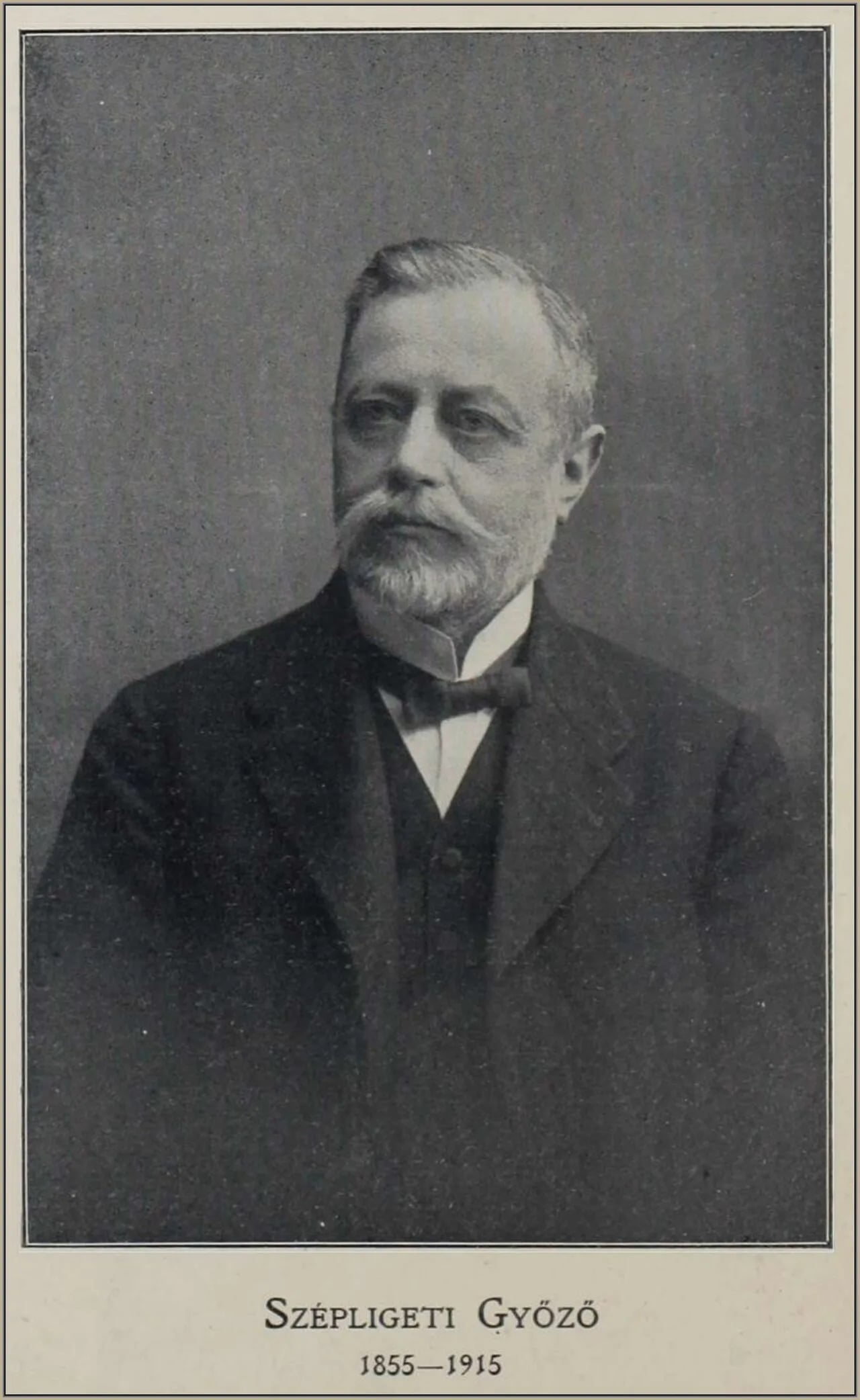 Porträt von Gyözö Szépligeti (1855–1915) – Gedenkseite