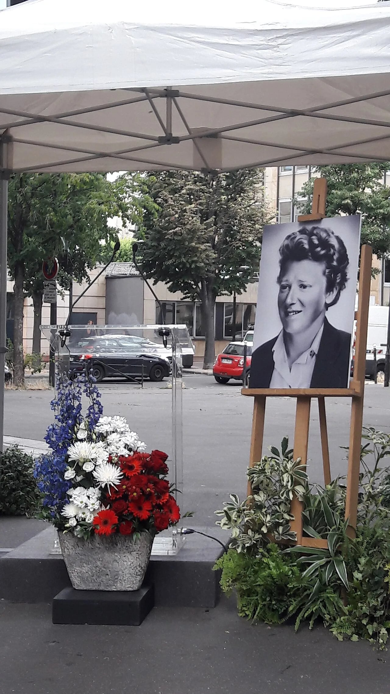 Porträt von Jacqueline Domergue (1924–1957) – Gedenkseite