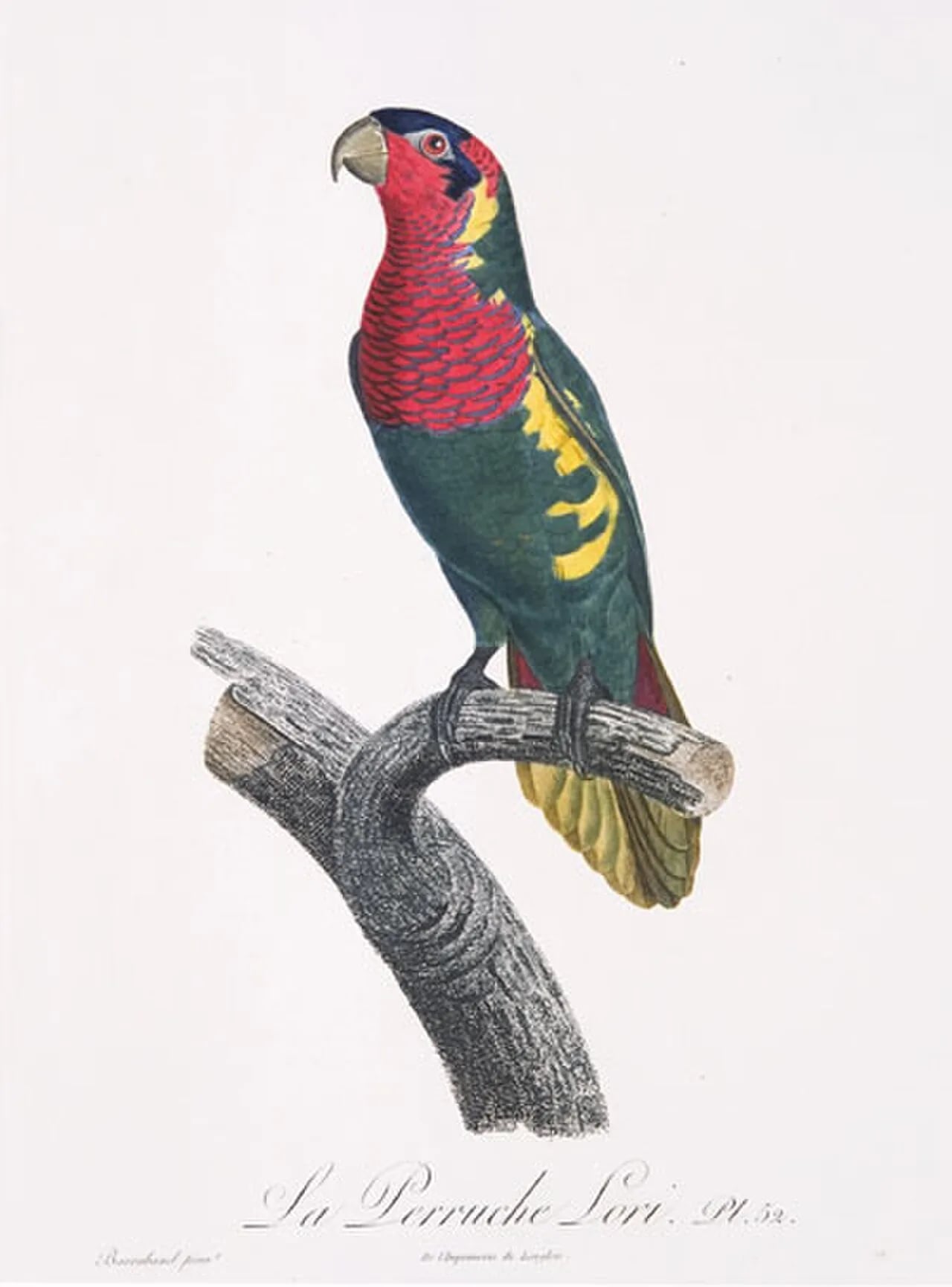 Porträt von Jacques Barraband (1767–1809) – Gedenkseite