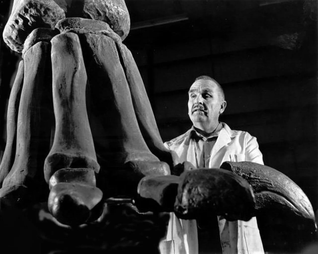 Portrait of James A. Jensen (1918–1998) – memorial page