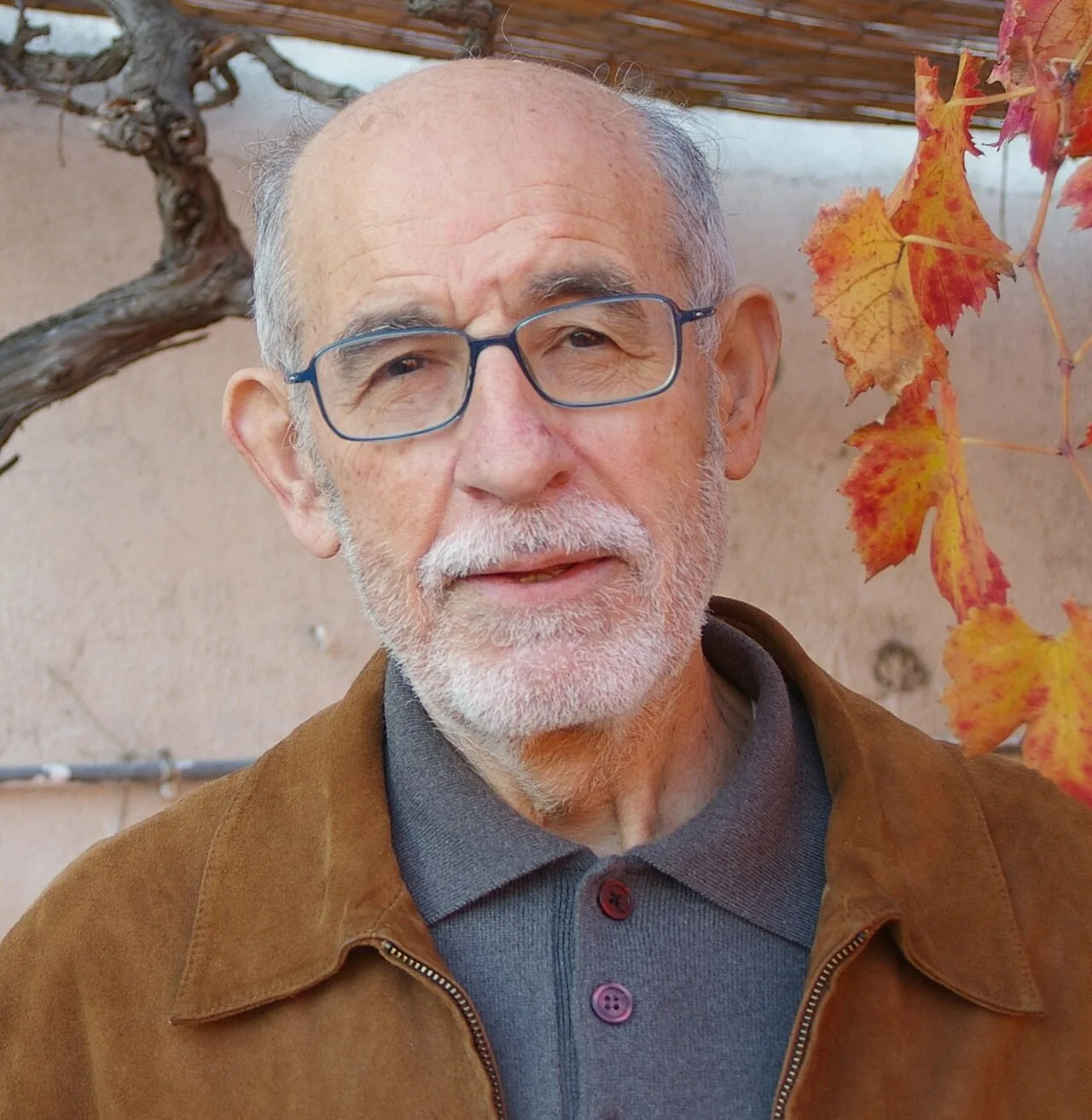 Portrait of Joan Solà i Cortassa (1940–2010) – memorial page