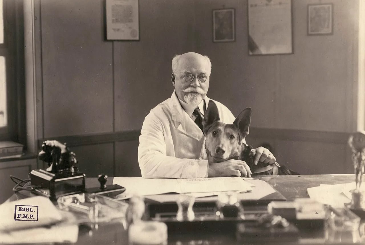 Portrait of Justin Sicard de Plauzoles (1872–1968) – memorial page
