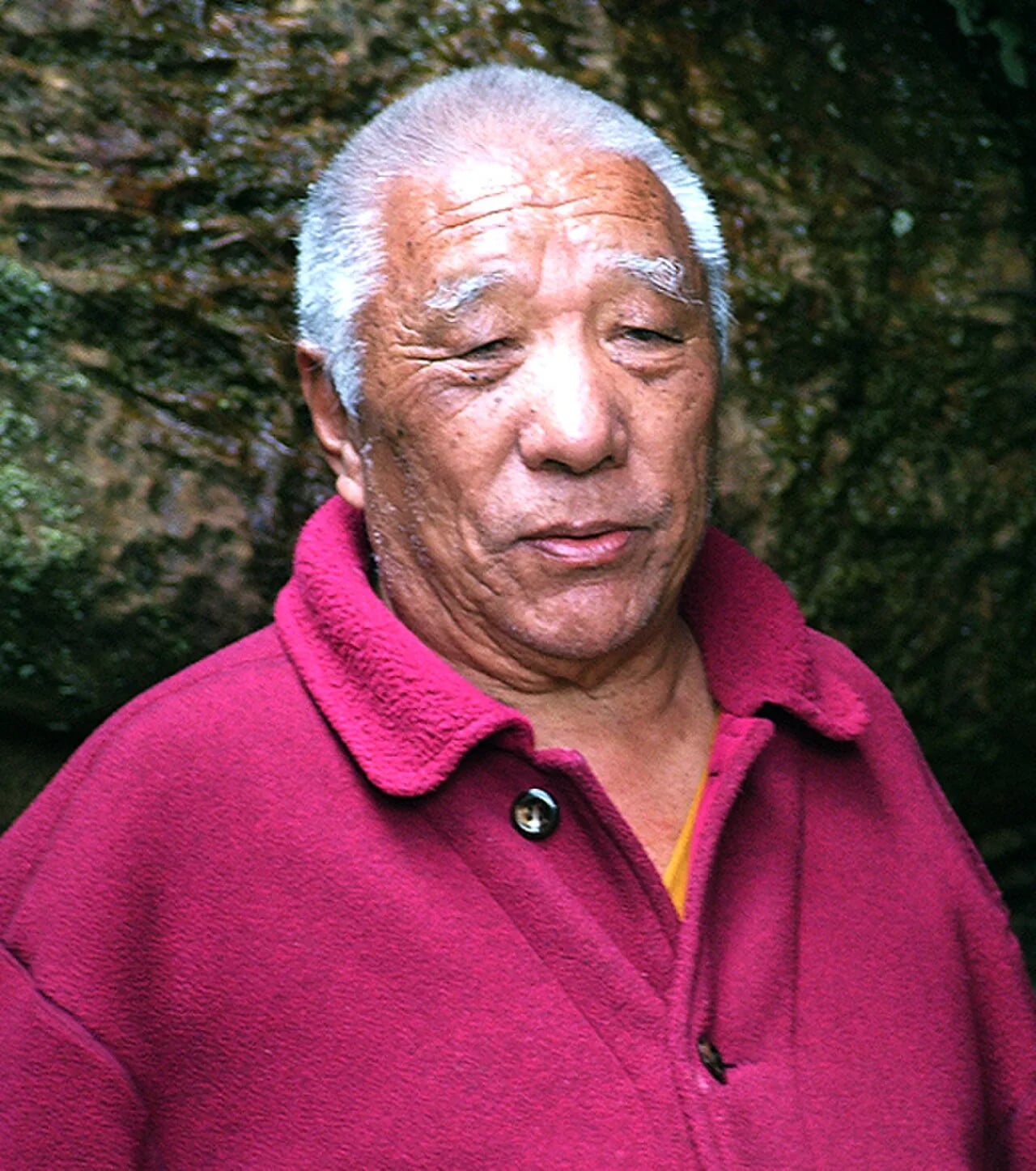 Porträt von Khenpo Tsultrim Gyamtso Rinpoche (1934–2024) – Gedenkseite