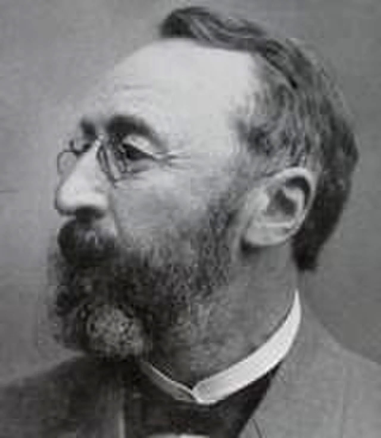 Porträt von Peter Ludwig Mejdell Sylow (1832–1918) – Gedenkseite