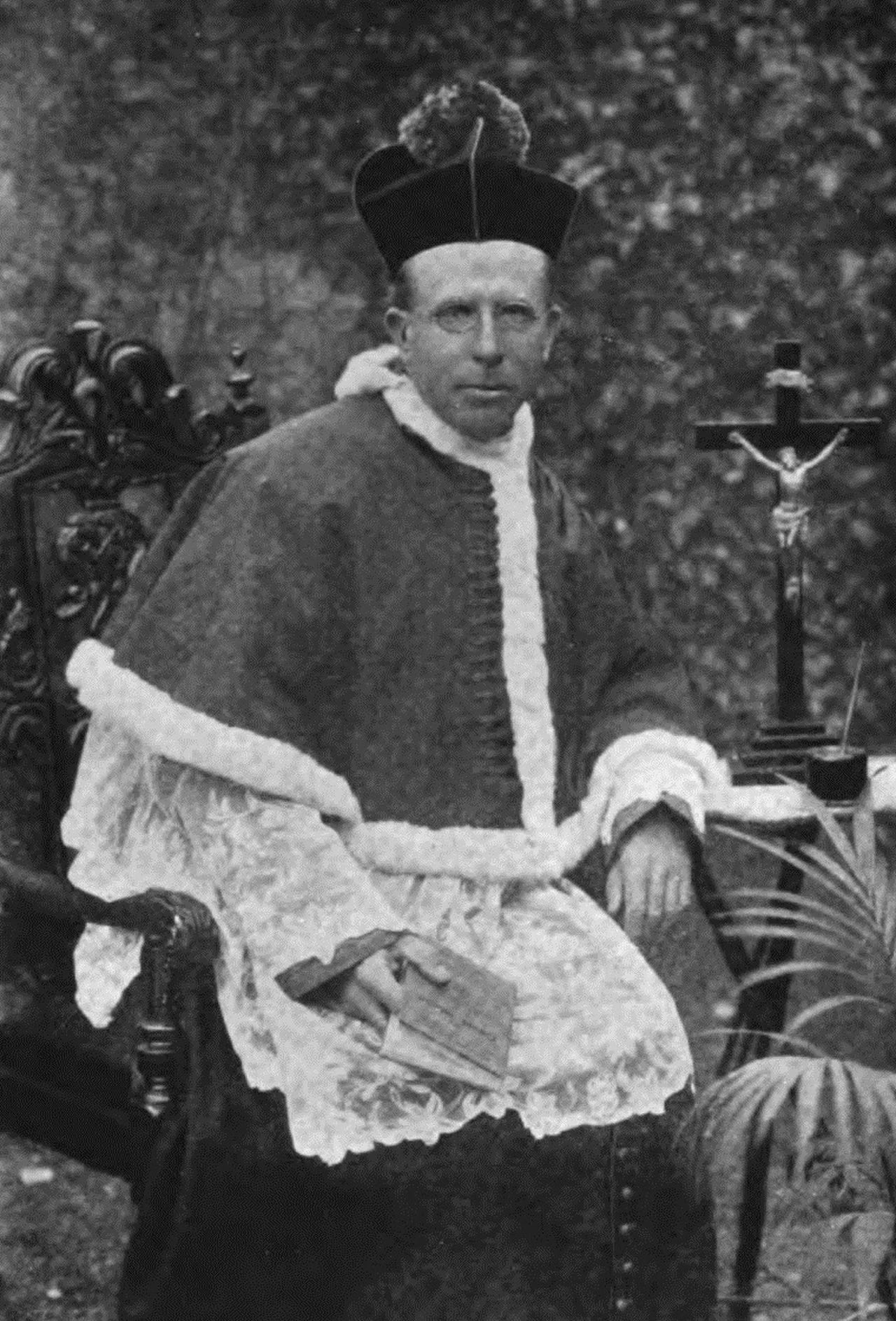 Porträt von Patrick Augustine Sheehan (1852–1913) – Gedenkseite