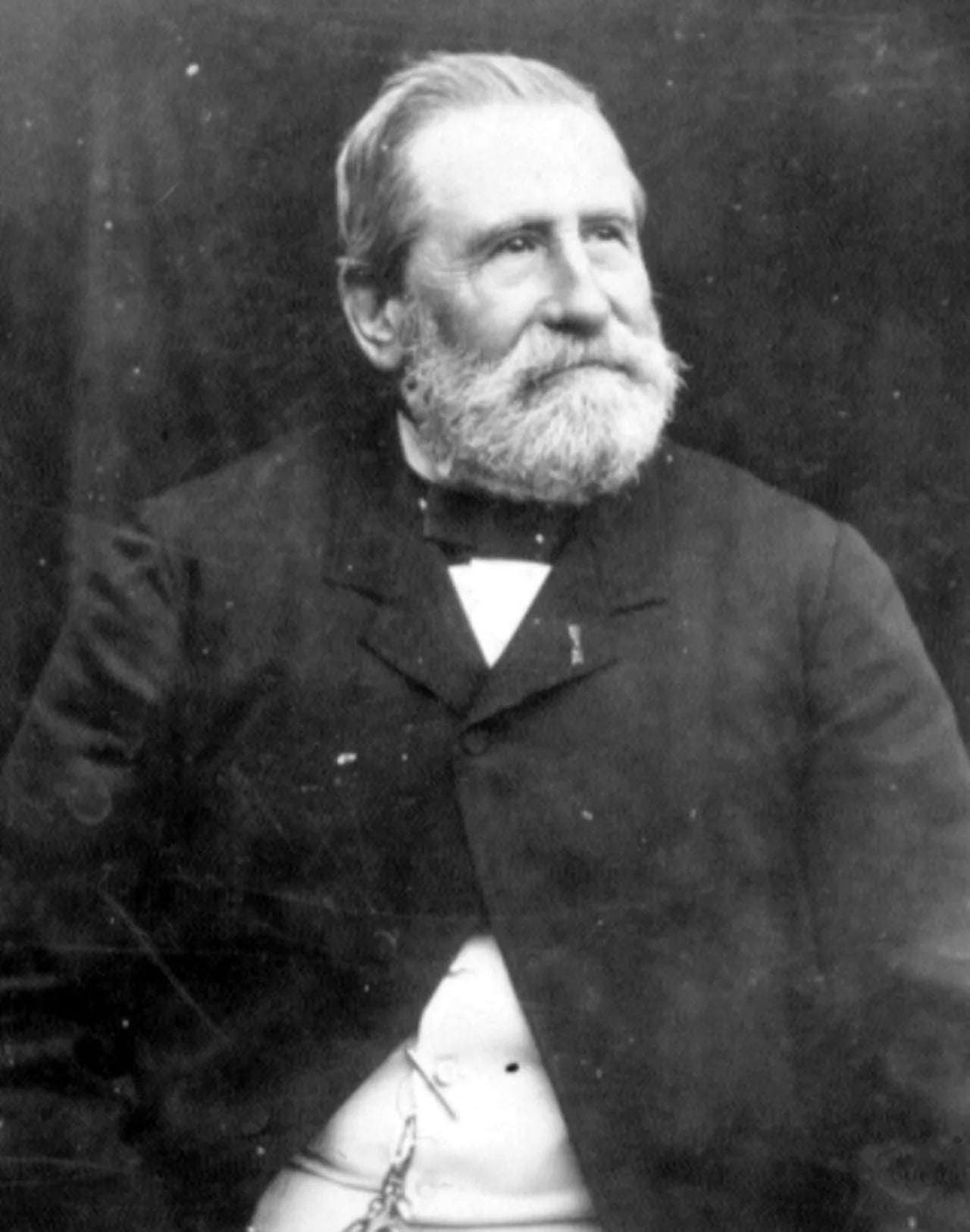 Porträt von Gaston de Saporta (1823–1895) – Gedenkseite