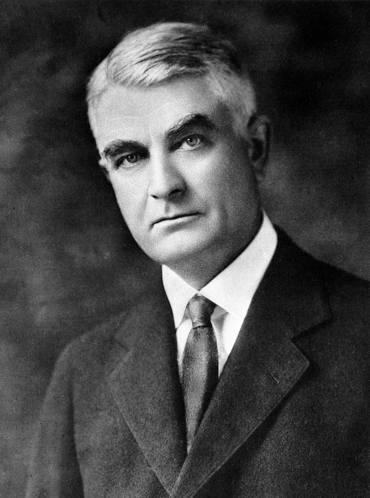 Portrait of William James Mayo (1861–1939) – memorial page