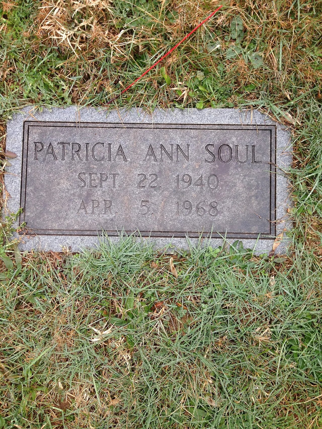 Porträt von Maelcum Soul (1940–1968) – Gedenkseite