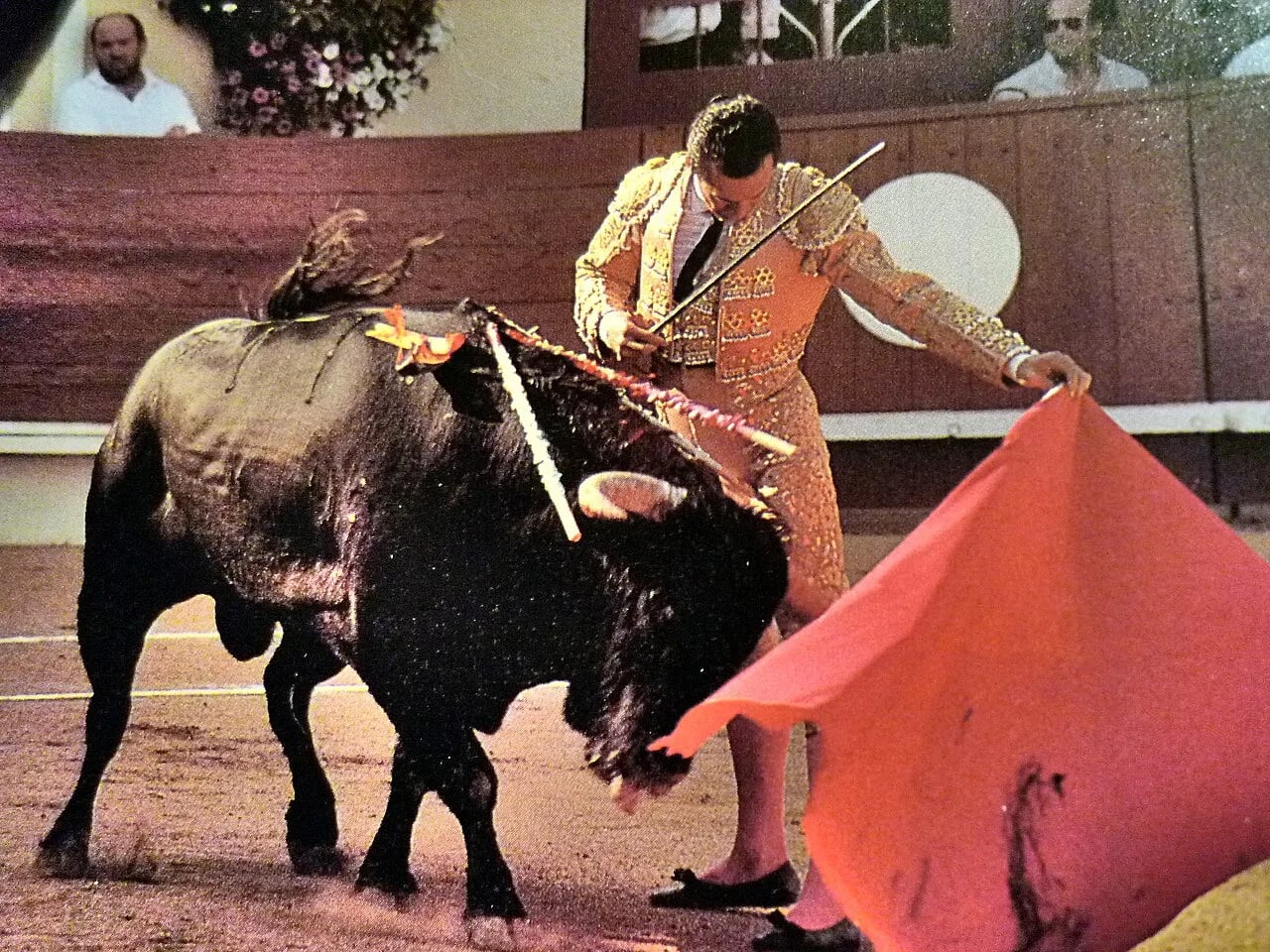 Porträt von José Mari Manzanares (1953–2014) – Gedenkseite