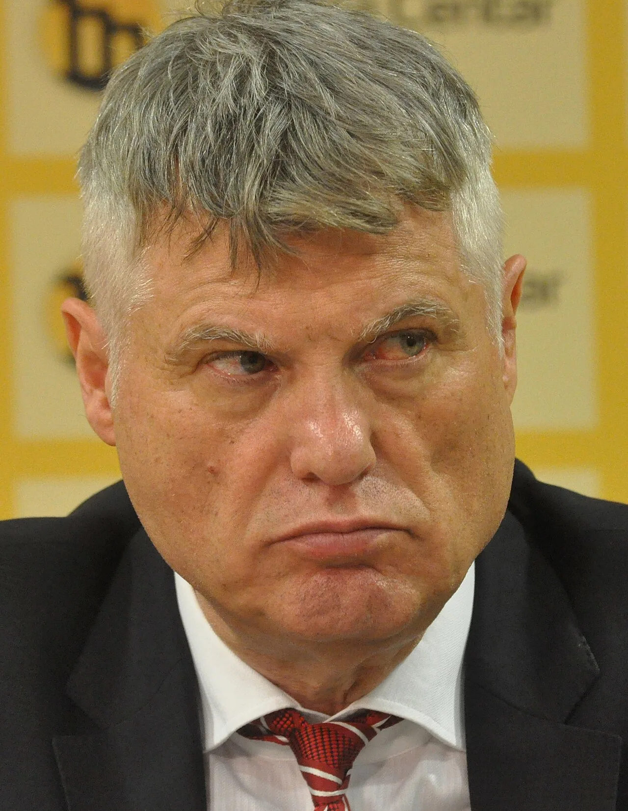 Porträt von Miroslav Lazanski (1950–2021) – Gedenkseite