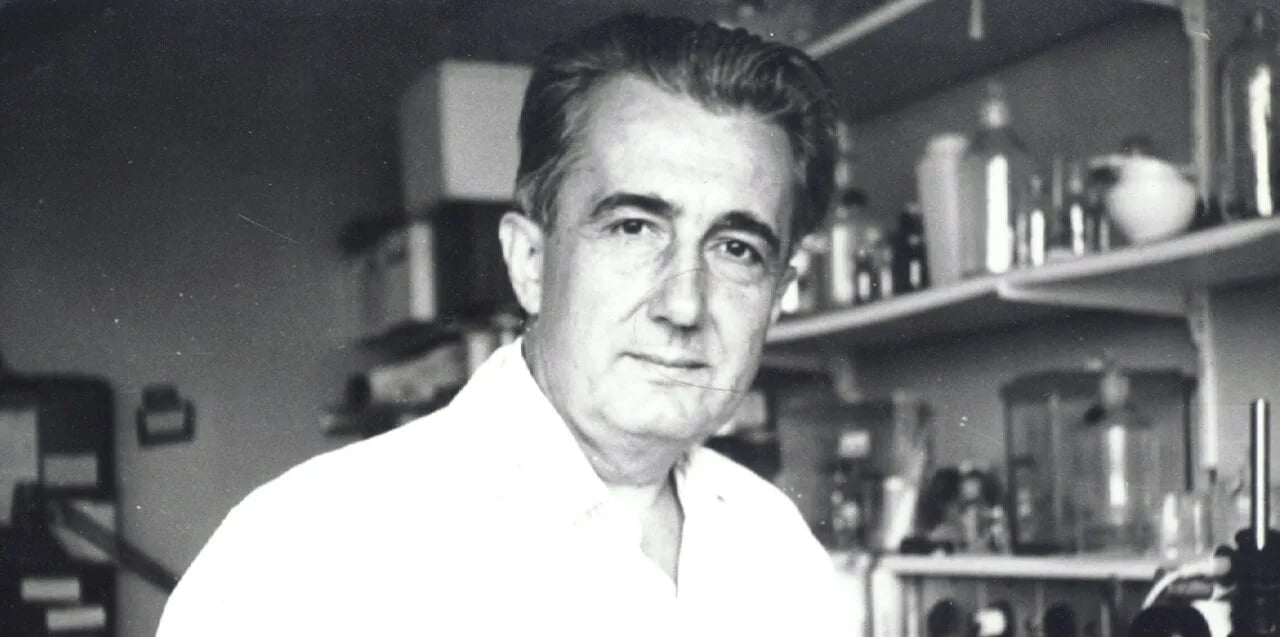 Porträt von Mirko Beljanski (1923–1998) – Gedenkseite