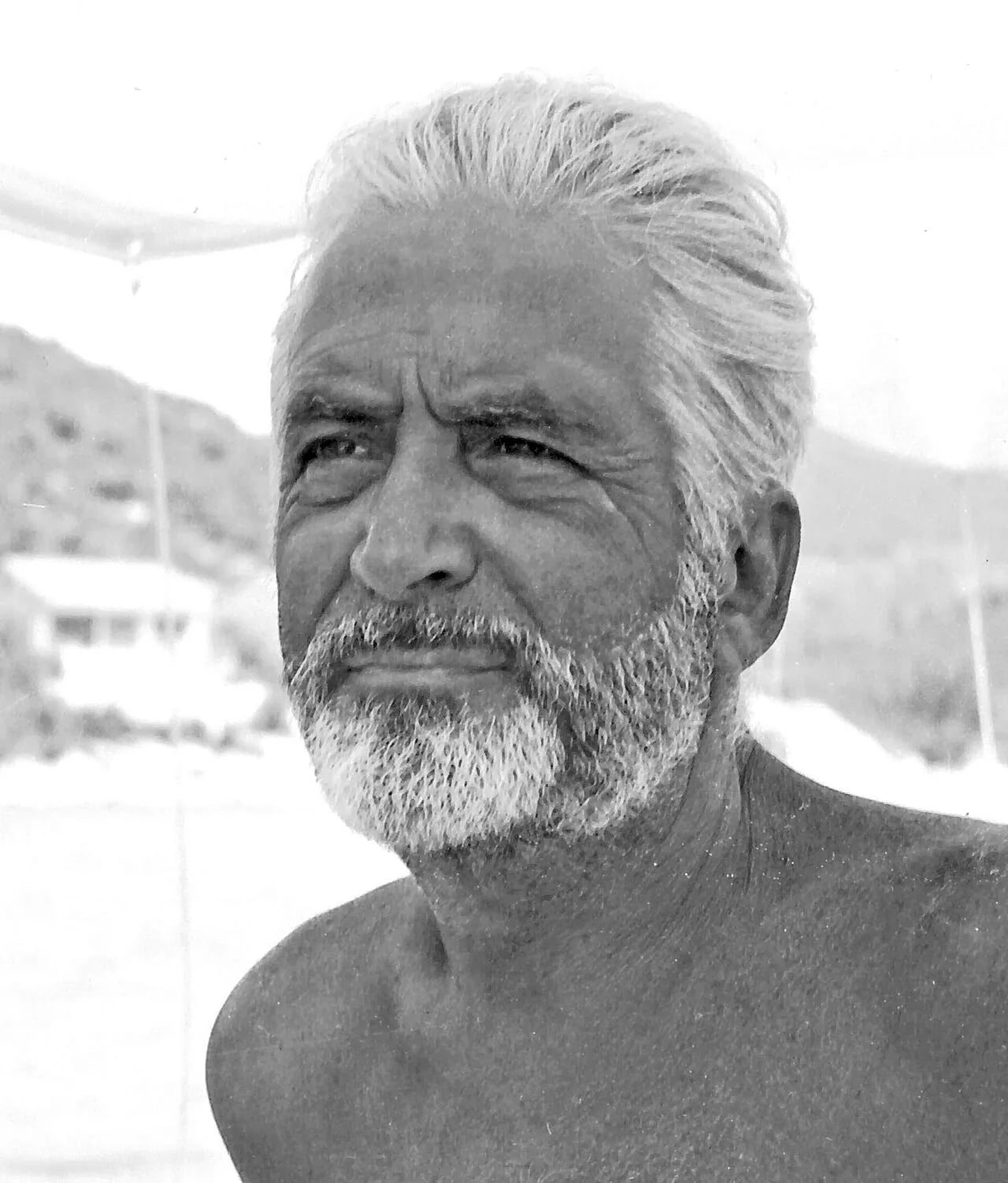 Portrait of Vittorio Vialli (1914–1983) – memorial page