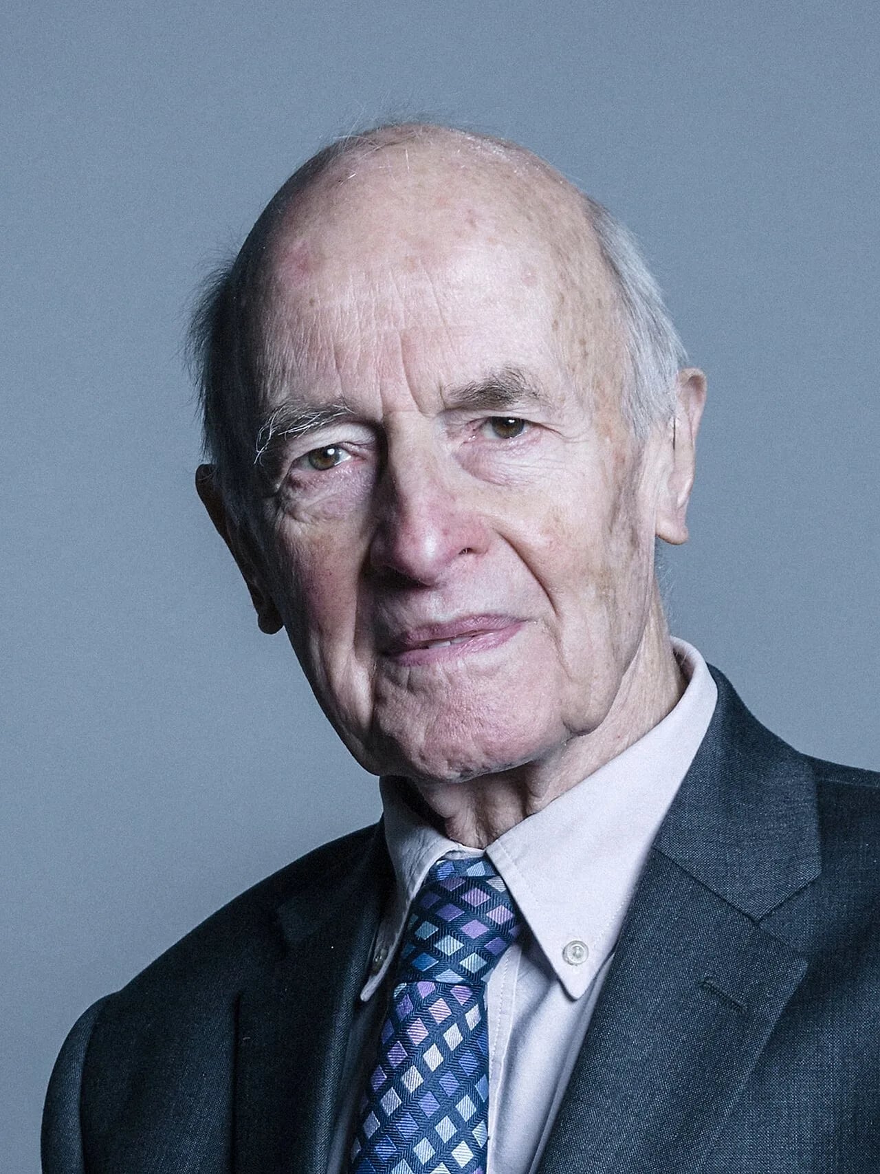 Portrait of Dick Taverne (1928–2025) – memorial page