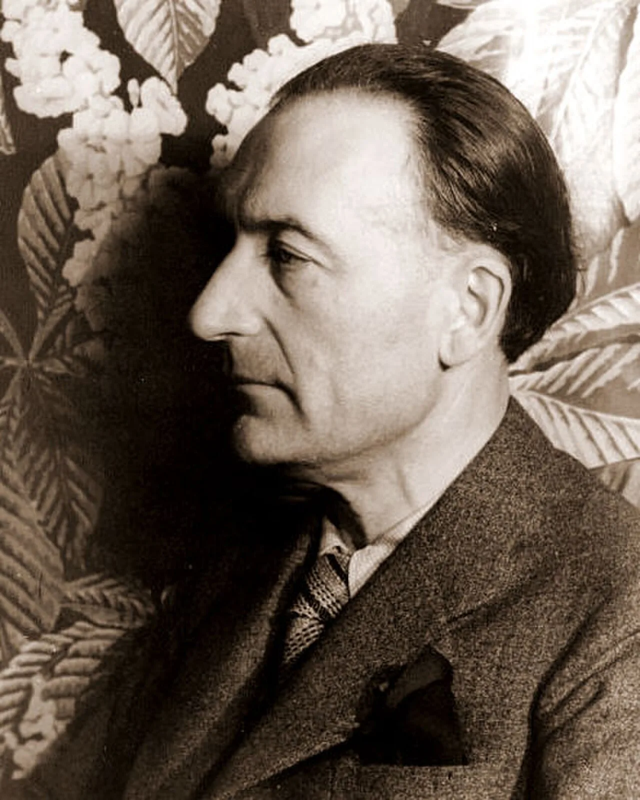 Portrait of Jules Romains (1885–1972) – memorial page