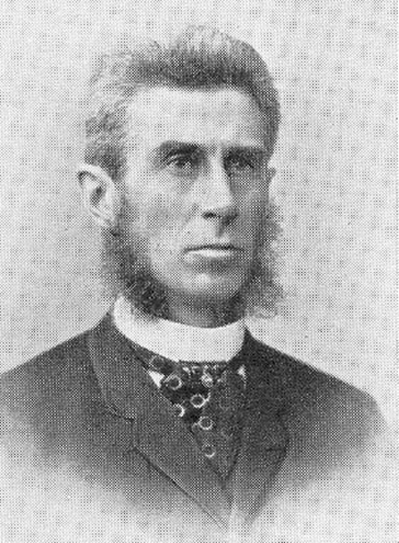 Portrait of Peter Birch-Reichenwald (1843–1898) – memorial page
