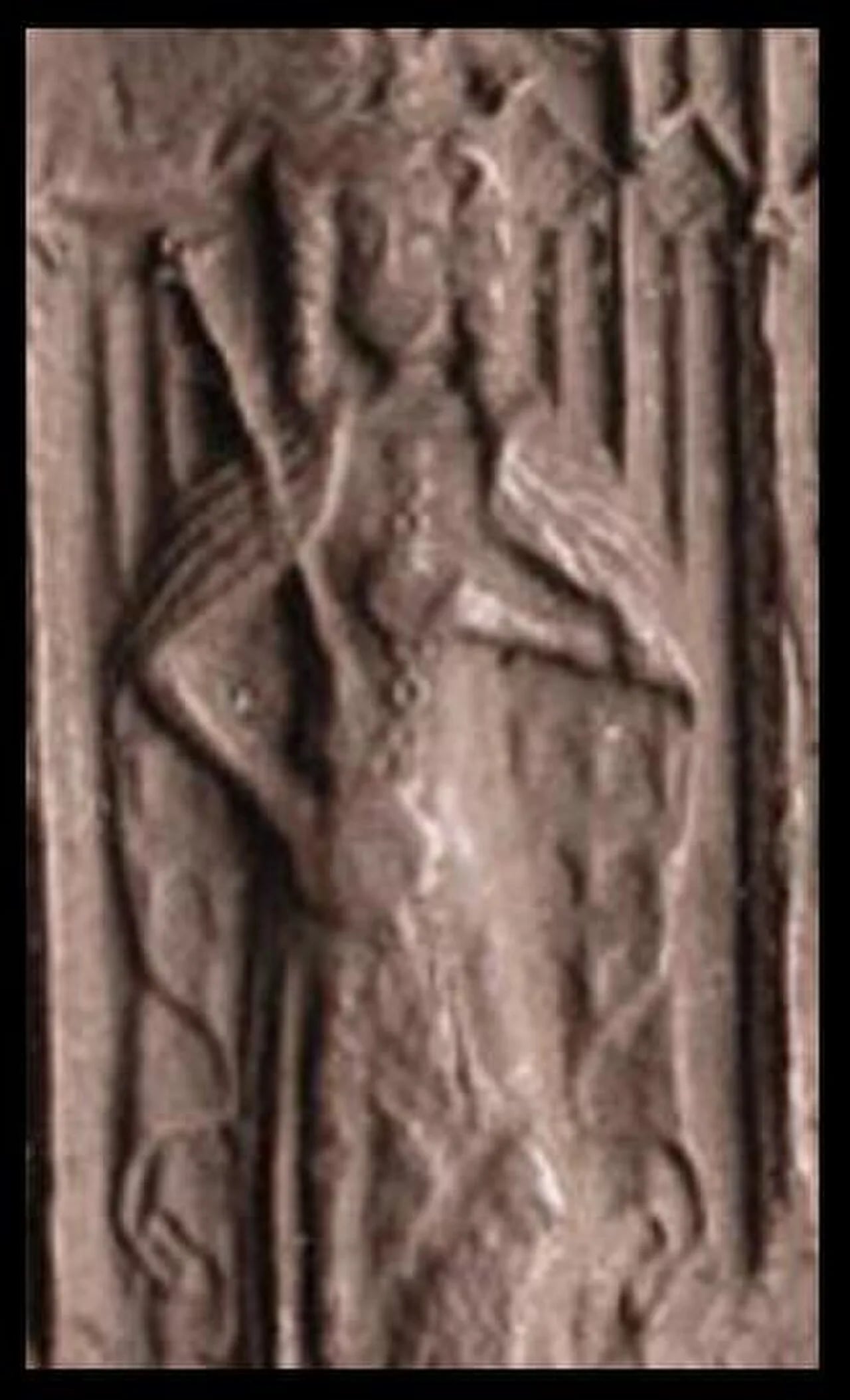 Porträt von Murdoch Stewart, 2. Duke of Albany (1362–1425) – Gedenkseite