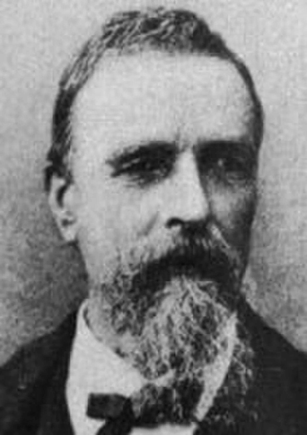 Porträt von Paul Schützenberger (1829–1897) – Gedenkseite