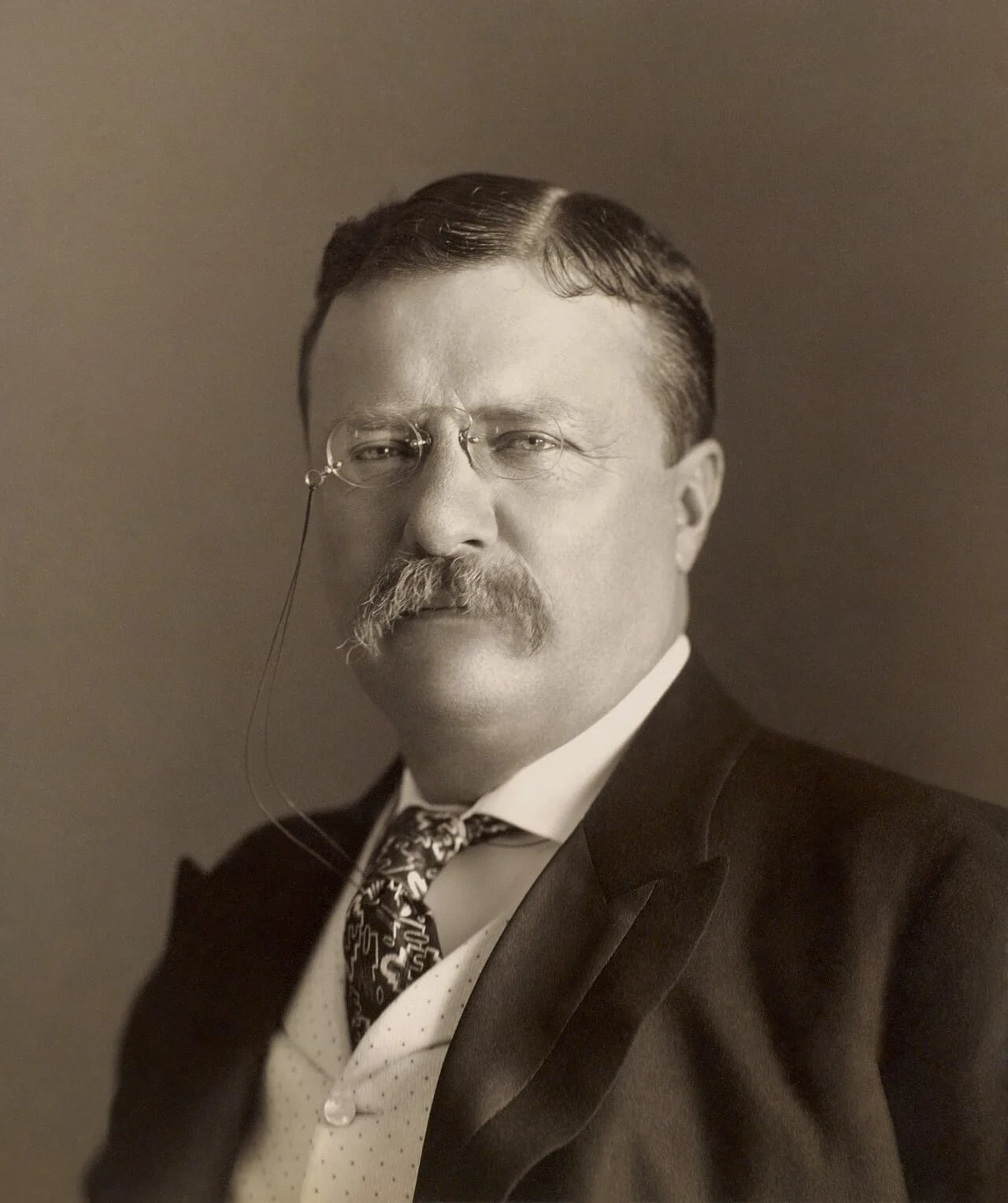 Portrait of Theodore Roosevelt (1858–1919) – memorial page