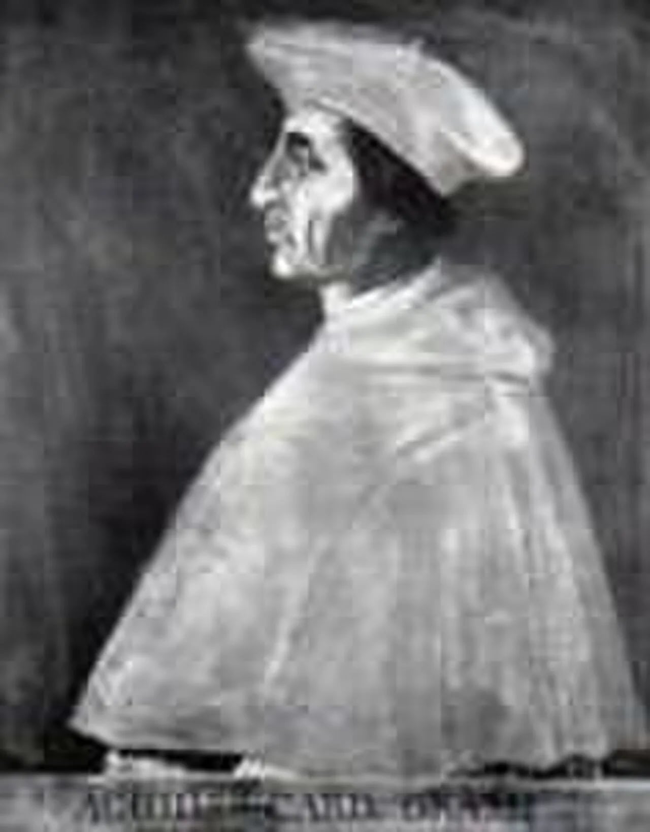 Portrait of Achille Grassi (1456–1523) – memorial page