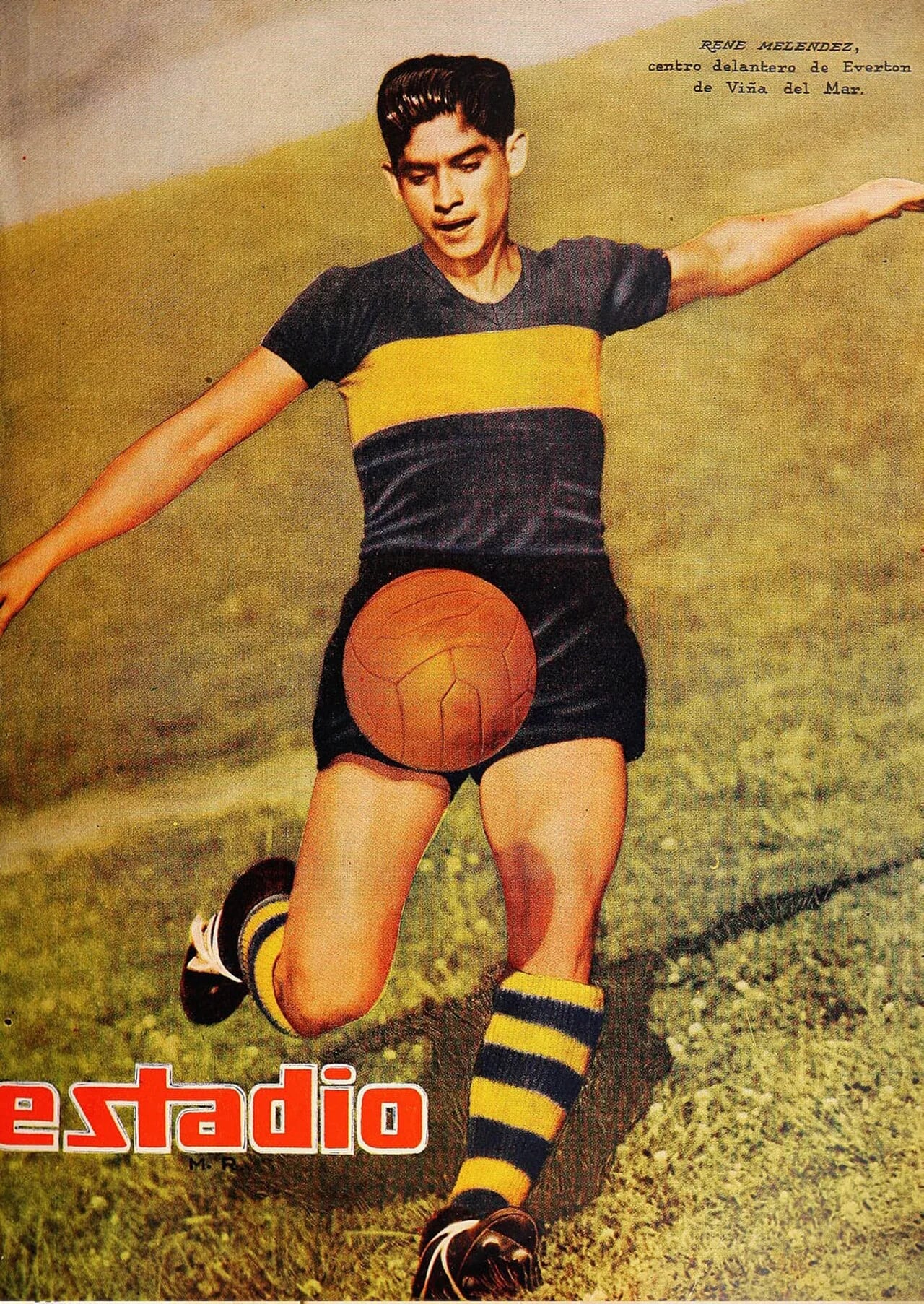 Portrait of René Meléndez Brito (1928–2002) – memorial page