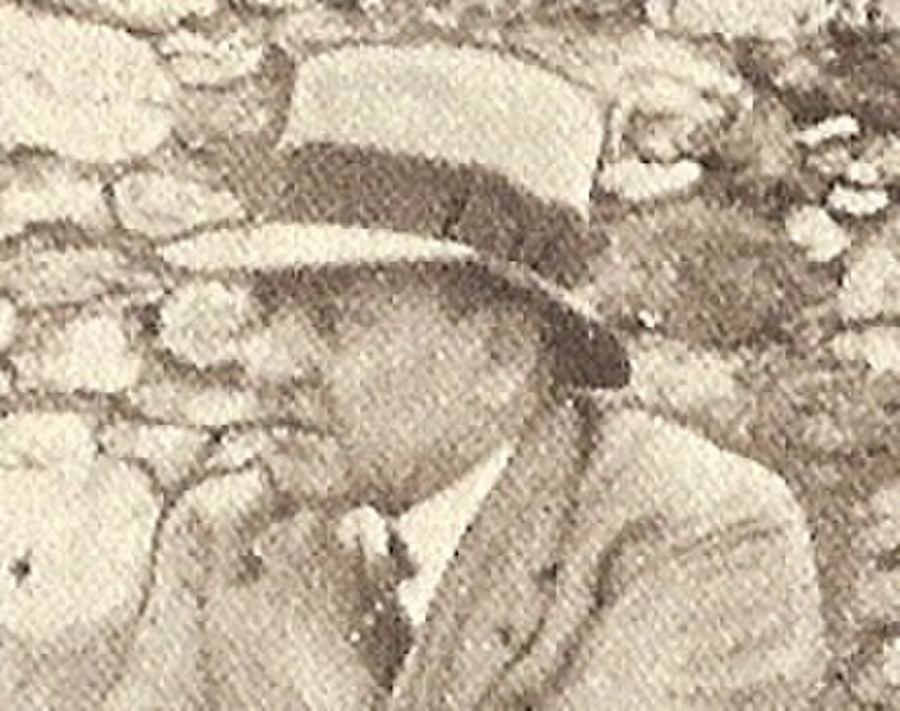 Porträt von René Milan (1882–1939) – Gedenkseite