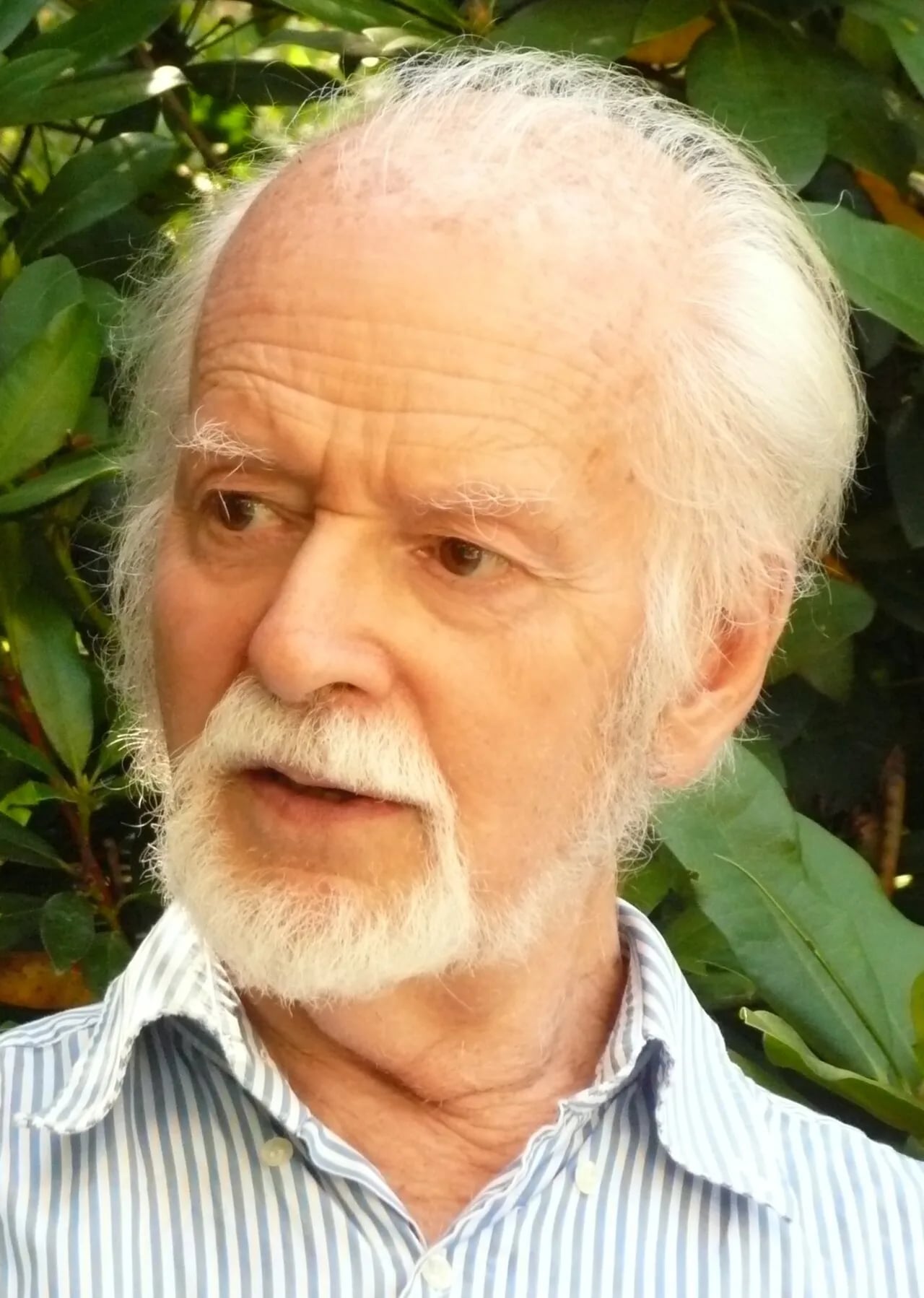 Porträt von Rene Thomas (1928–2017) – Gedenkseite