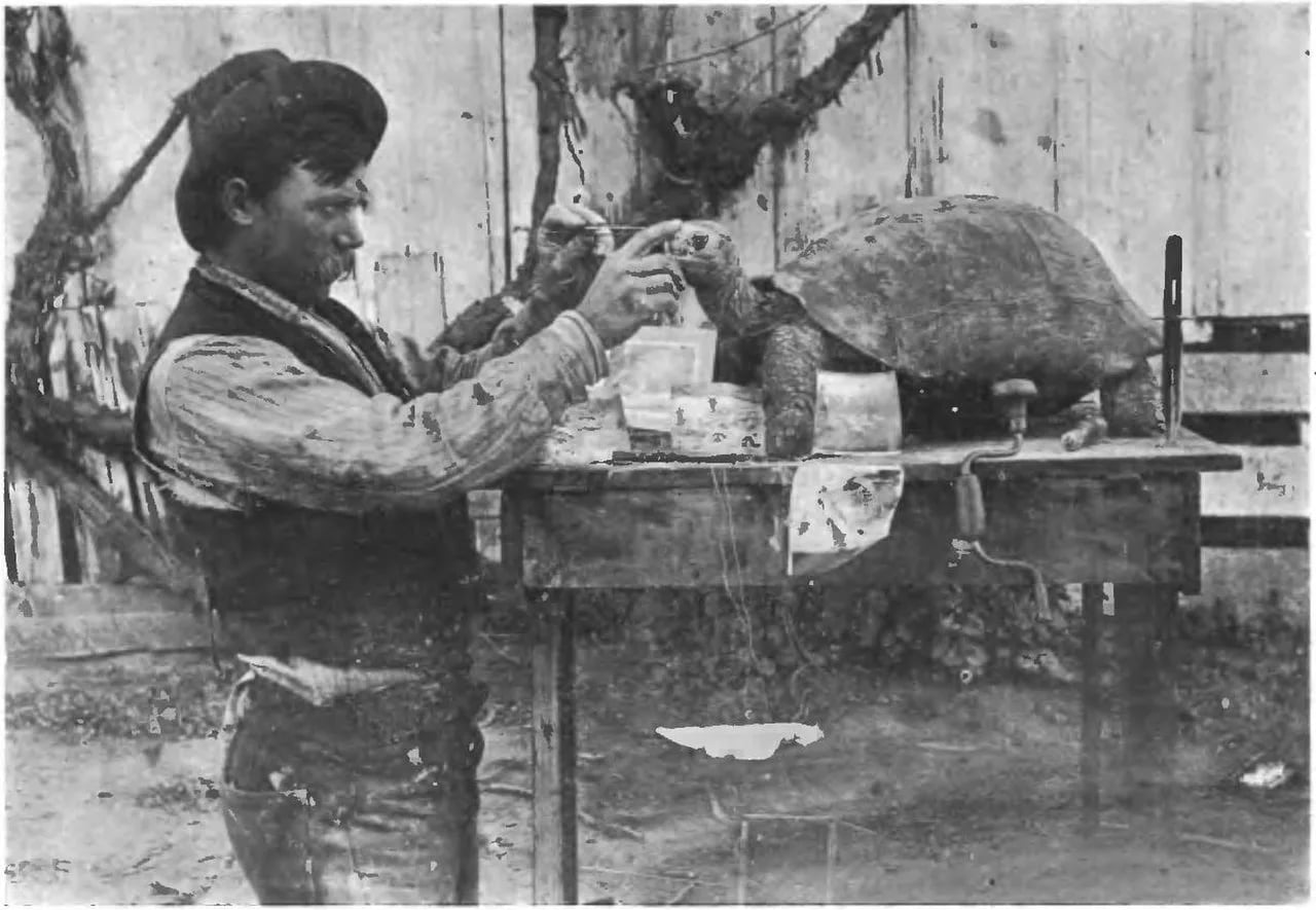 Portrait of Rollo Beck (1870–1950) – memorial page