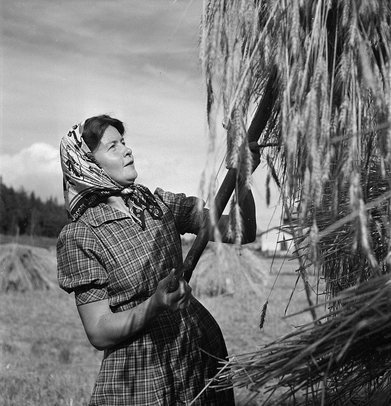 Portrait of Sally Salminen (1906–1976) – memorial page