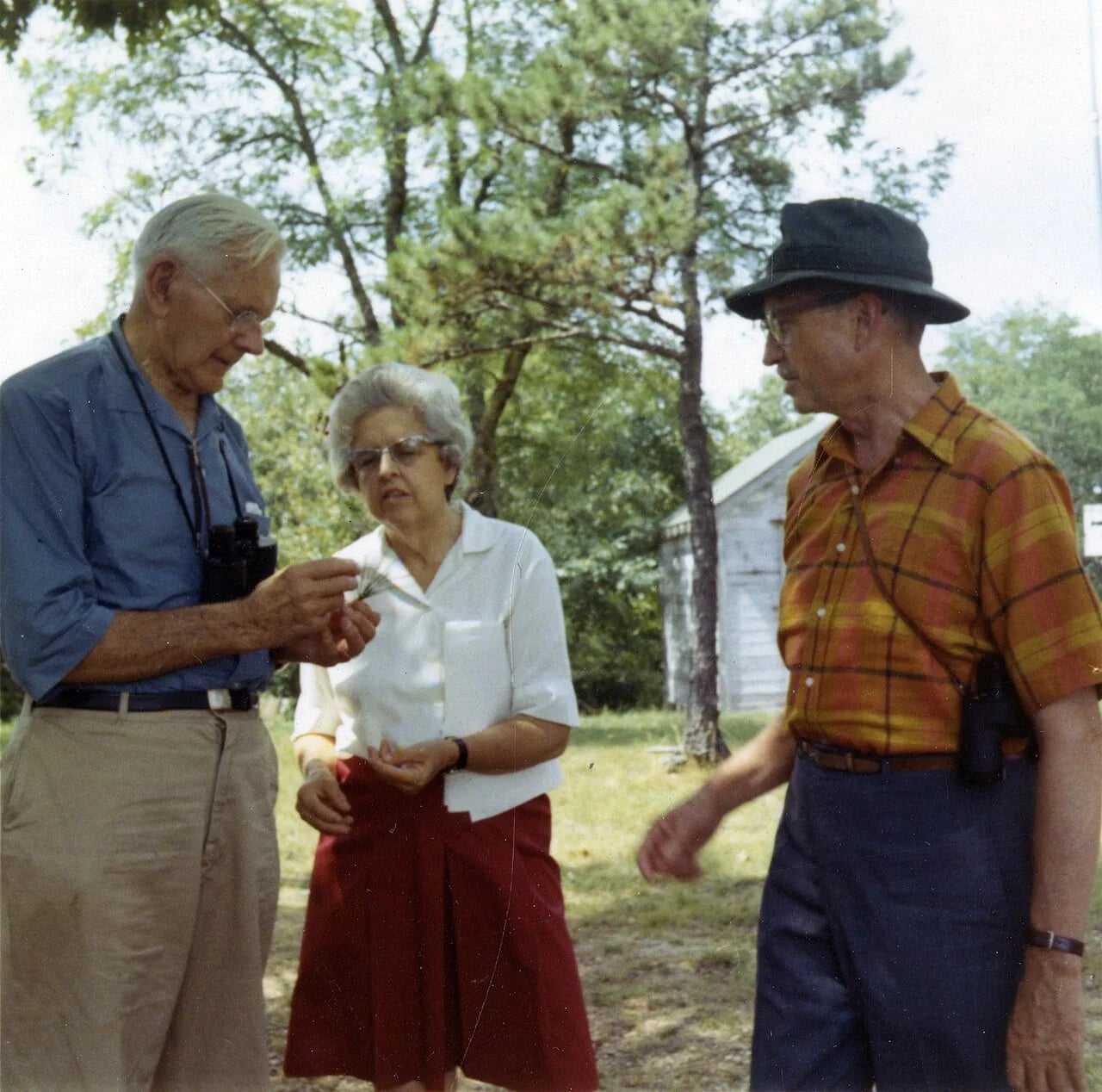 Portrait of Alexander Wetmore (1886–1978) – memorial page