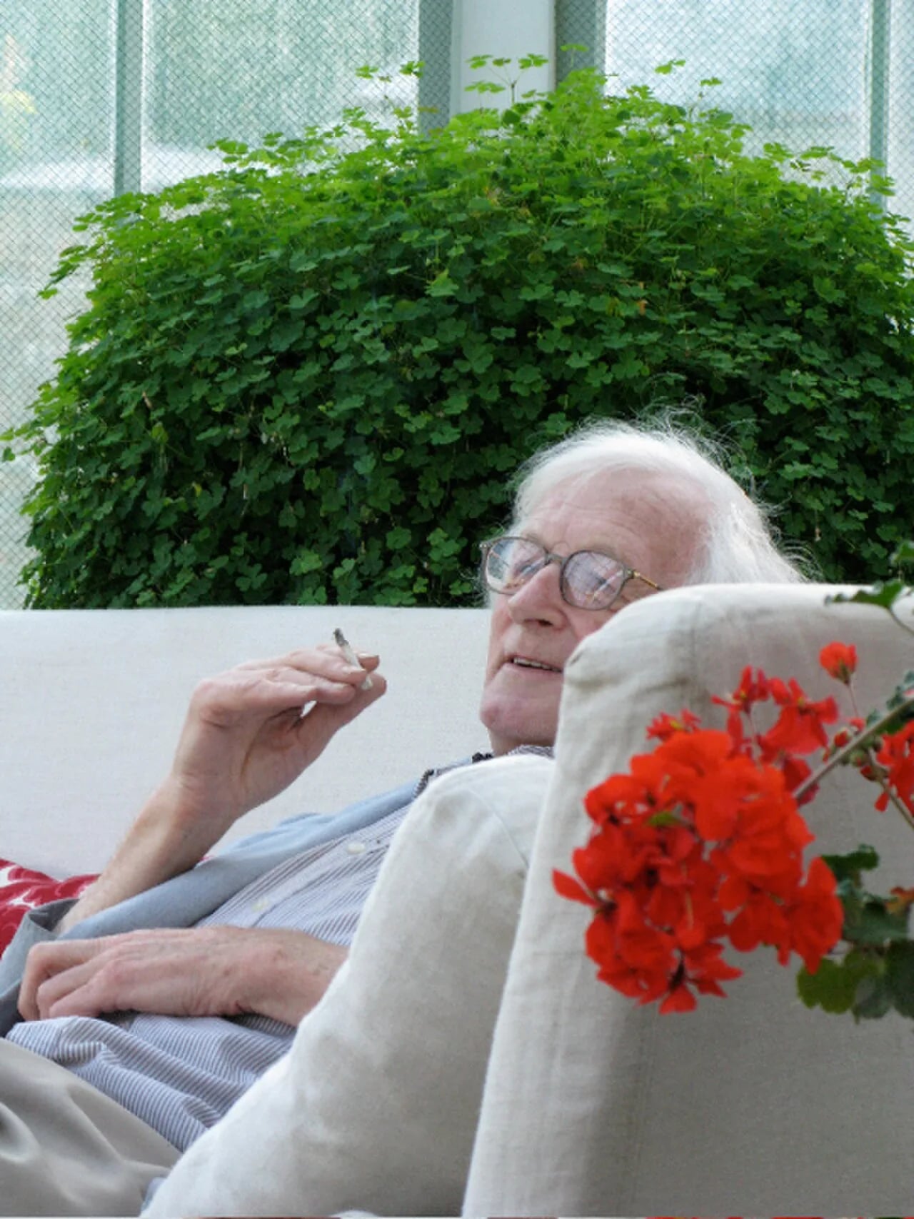 Portrait of John Michell (1933–2009) – memorial page