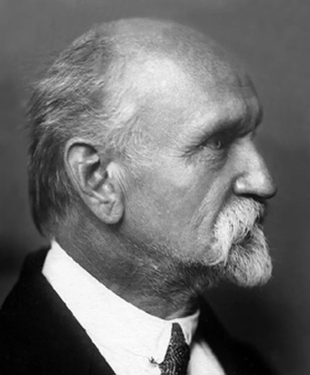 Portrait of Rainis (1865–1929) – memorial page