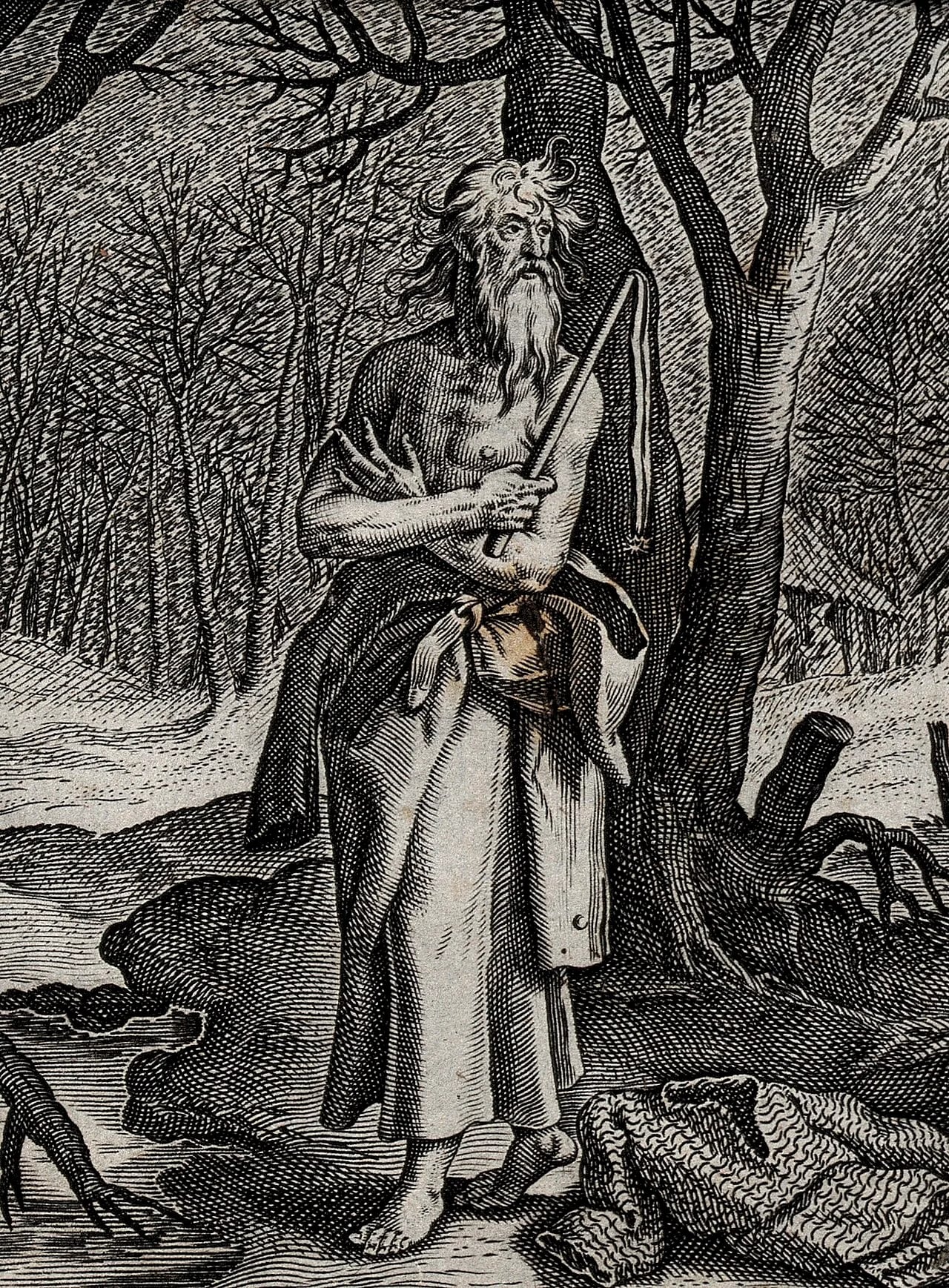Porträt von Dominic Loricatus (995–1060) – Gedenkseite